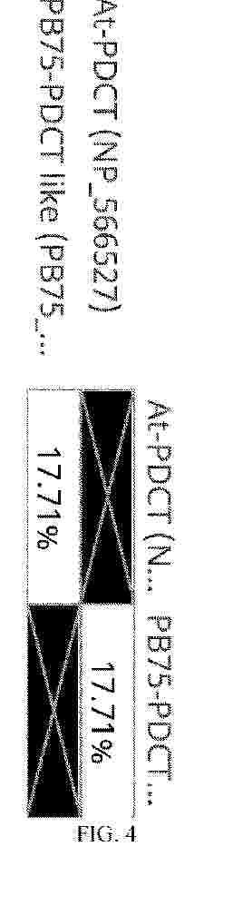 WO_2025101437_PA