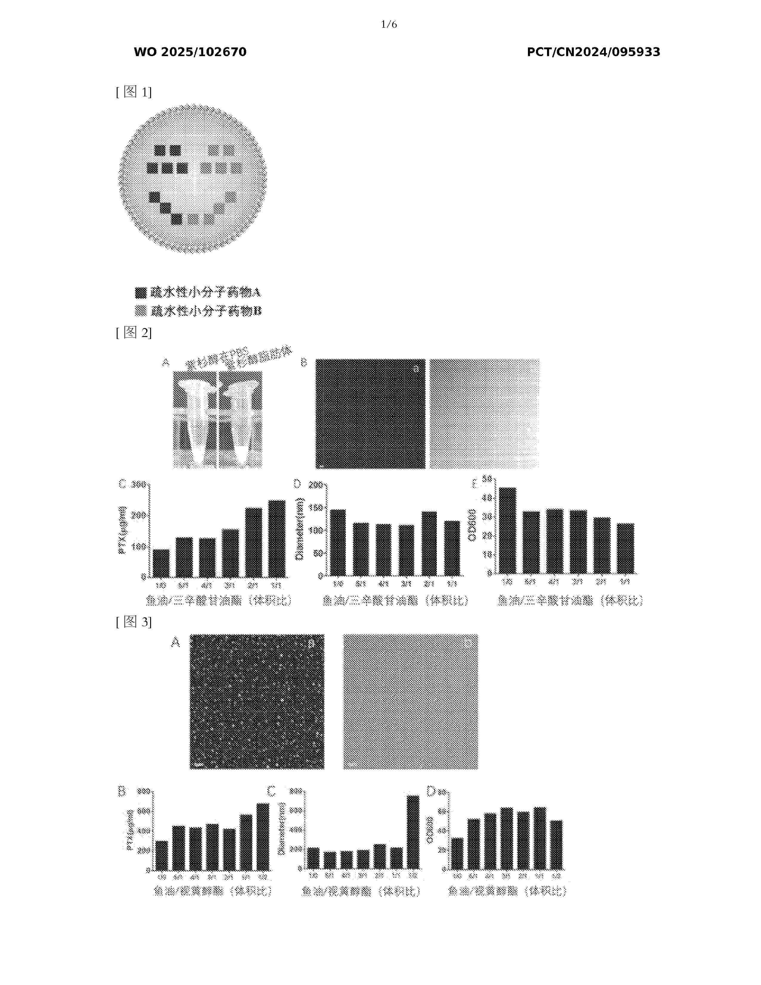 WO_2025102670_A1