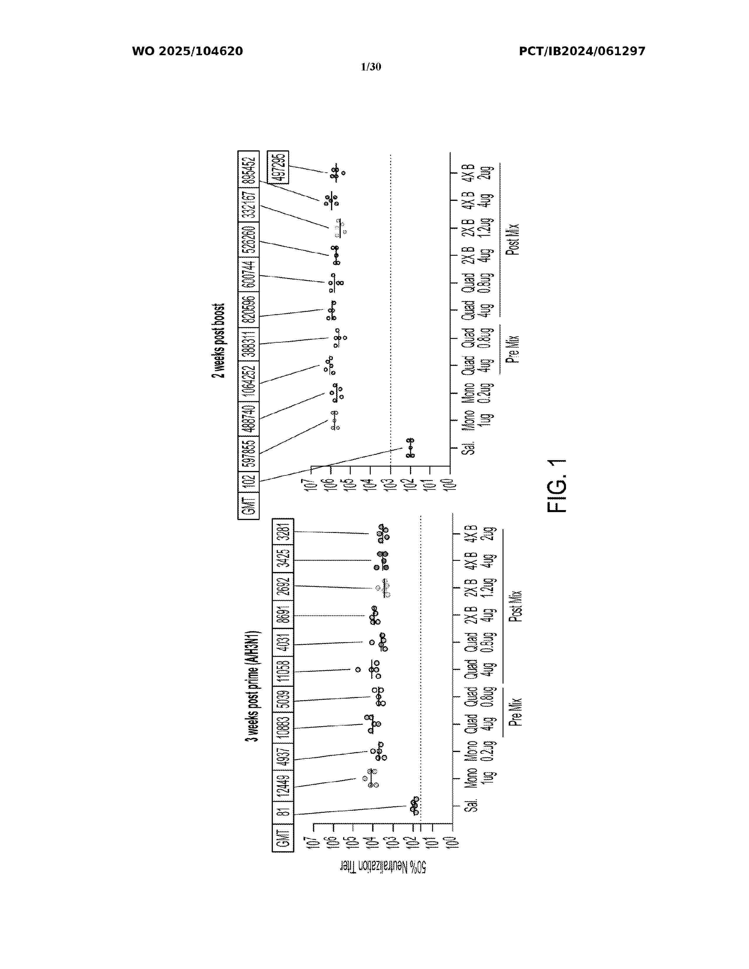 WO_2025104620_A1