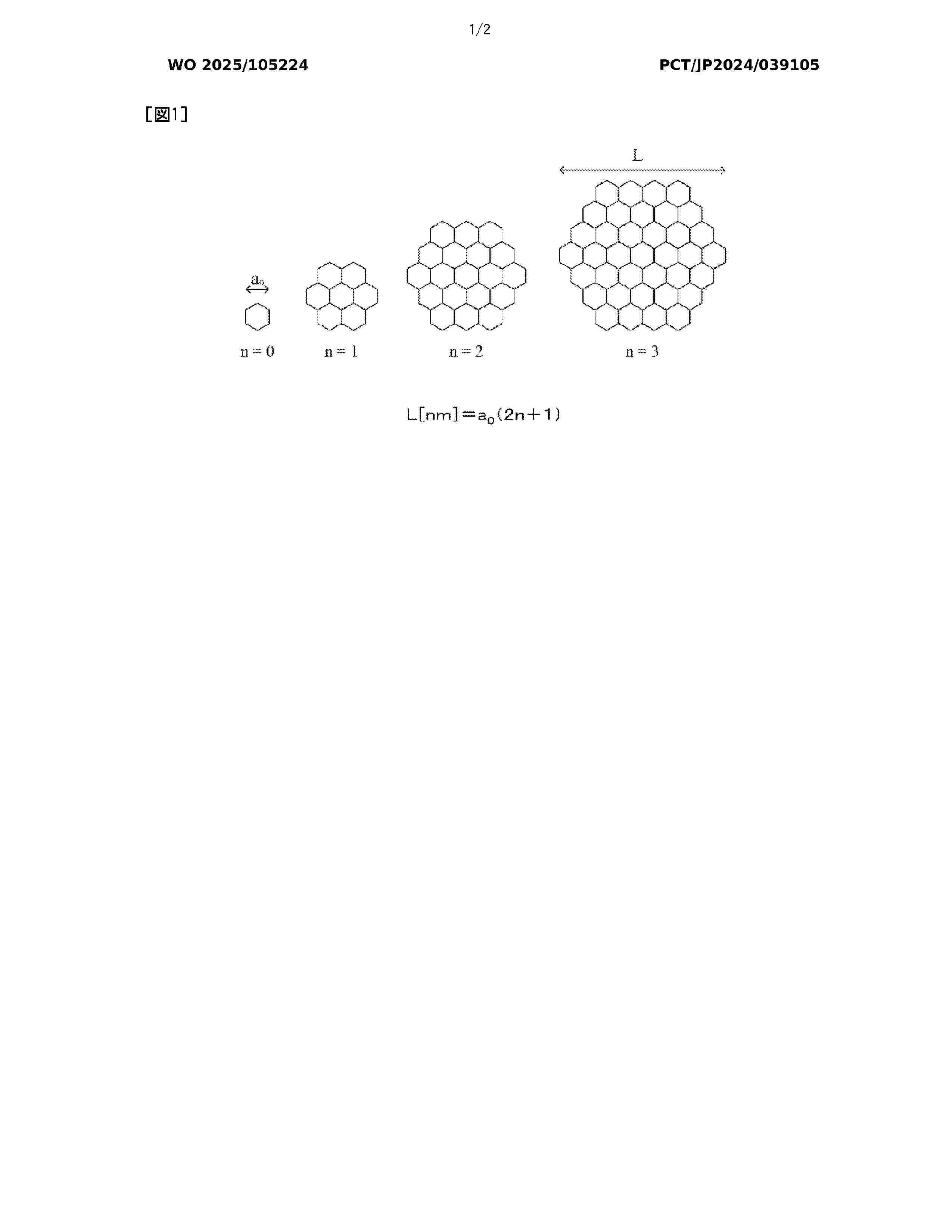WO_2025105224_A1