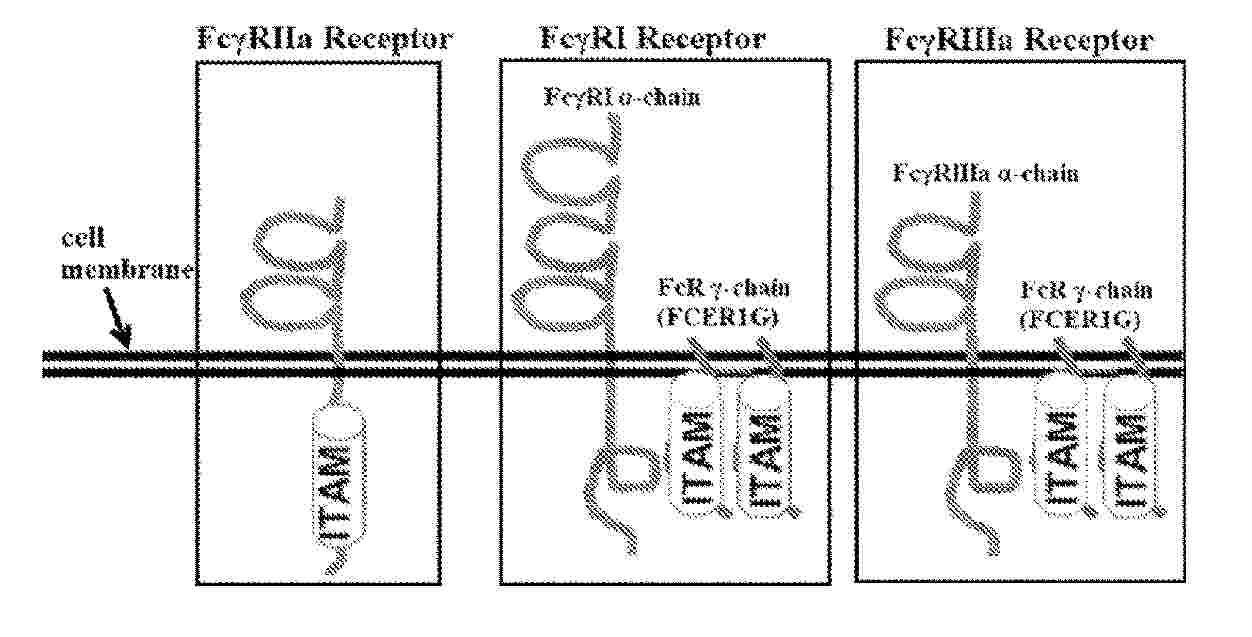 WO_2025106313_PA