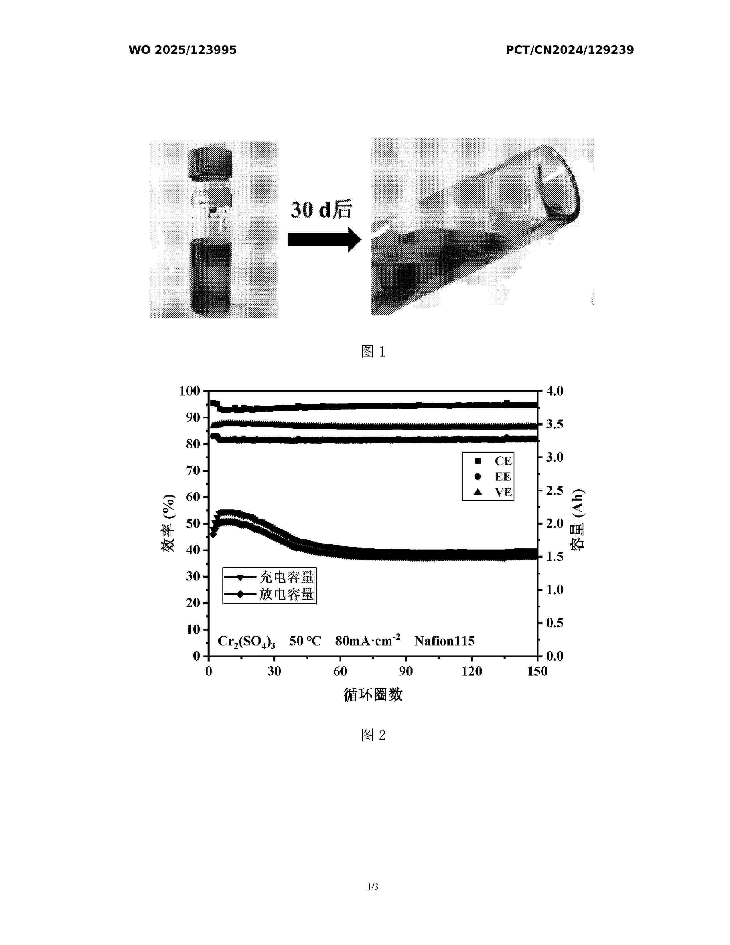 WO_2025123995_A1