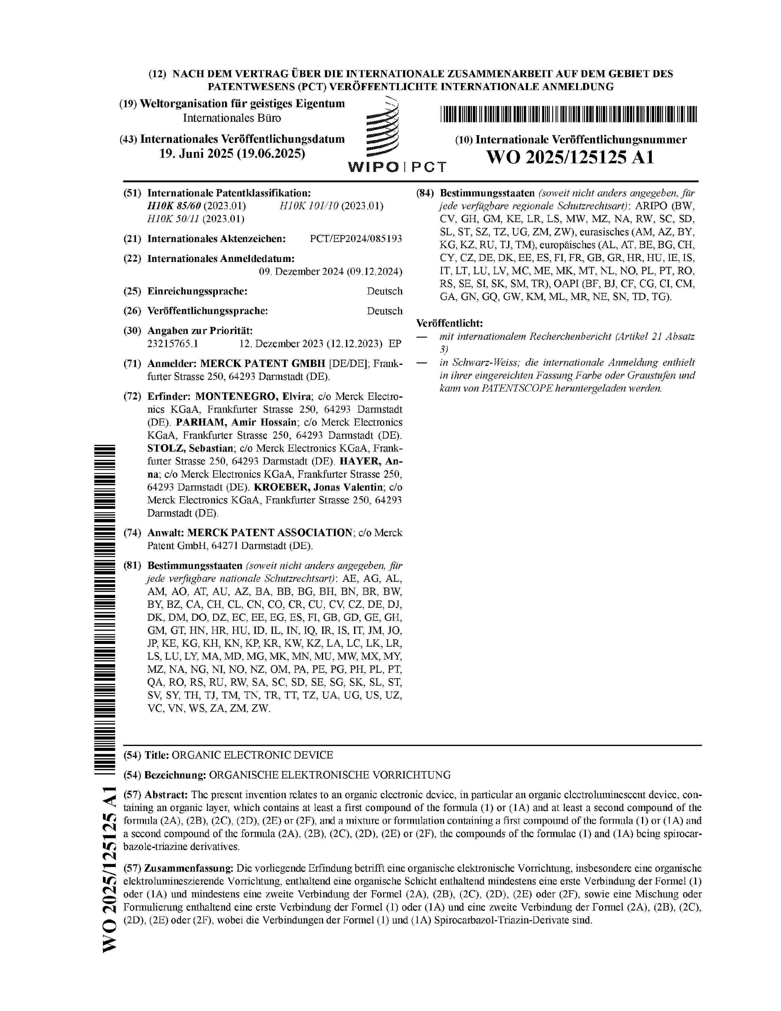 WO_2025125125_A1
