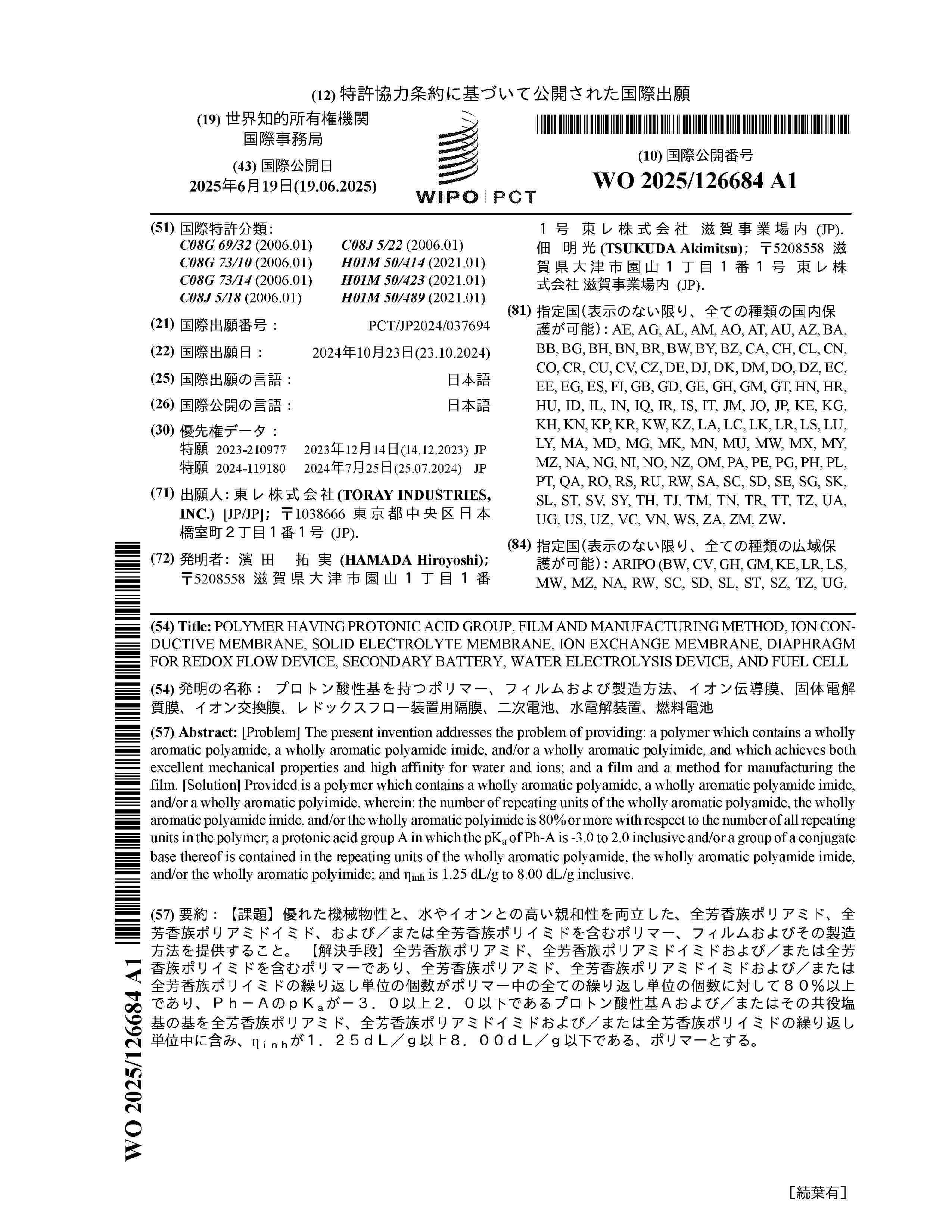 WO_2025126684_A1