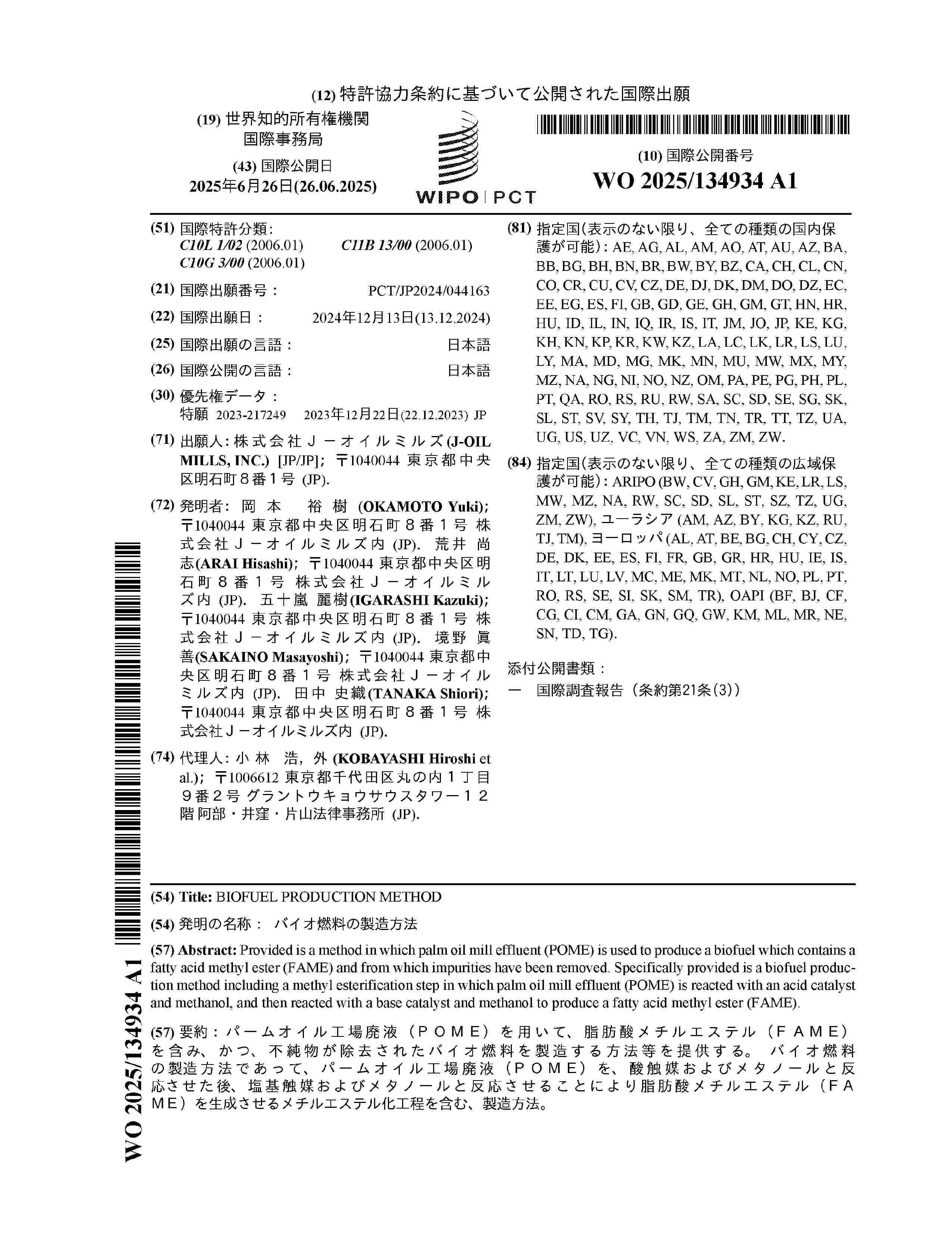 WO_2025134934_A1