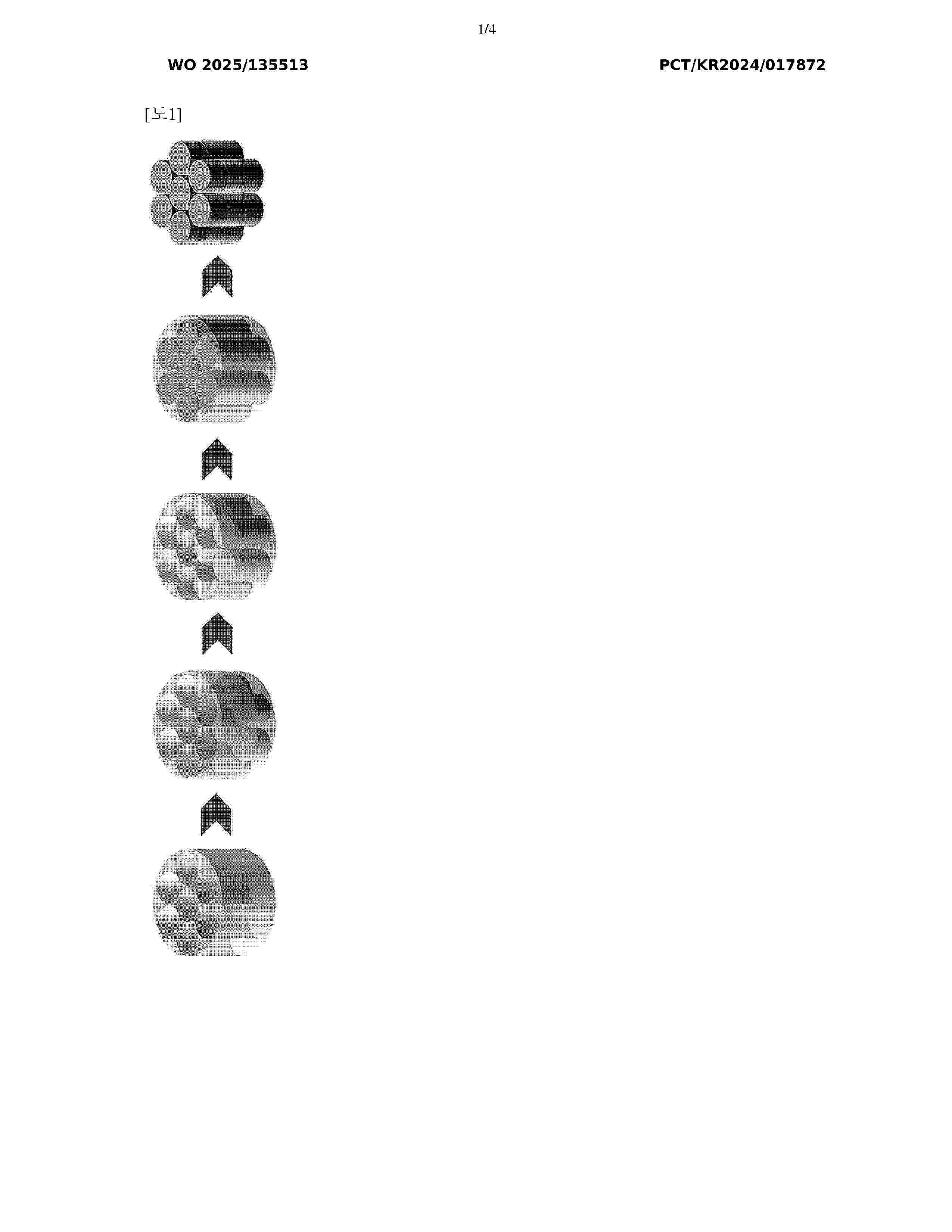 WO_2025135513_A1