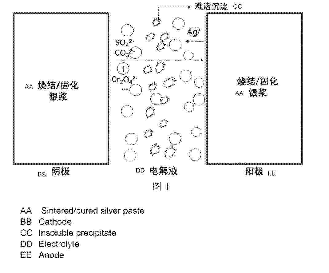 WO_2025145506_PA