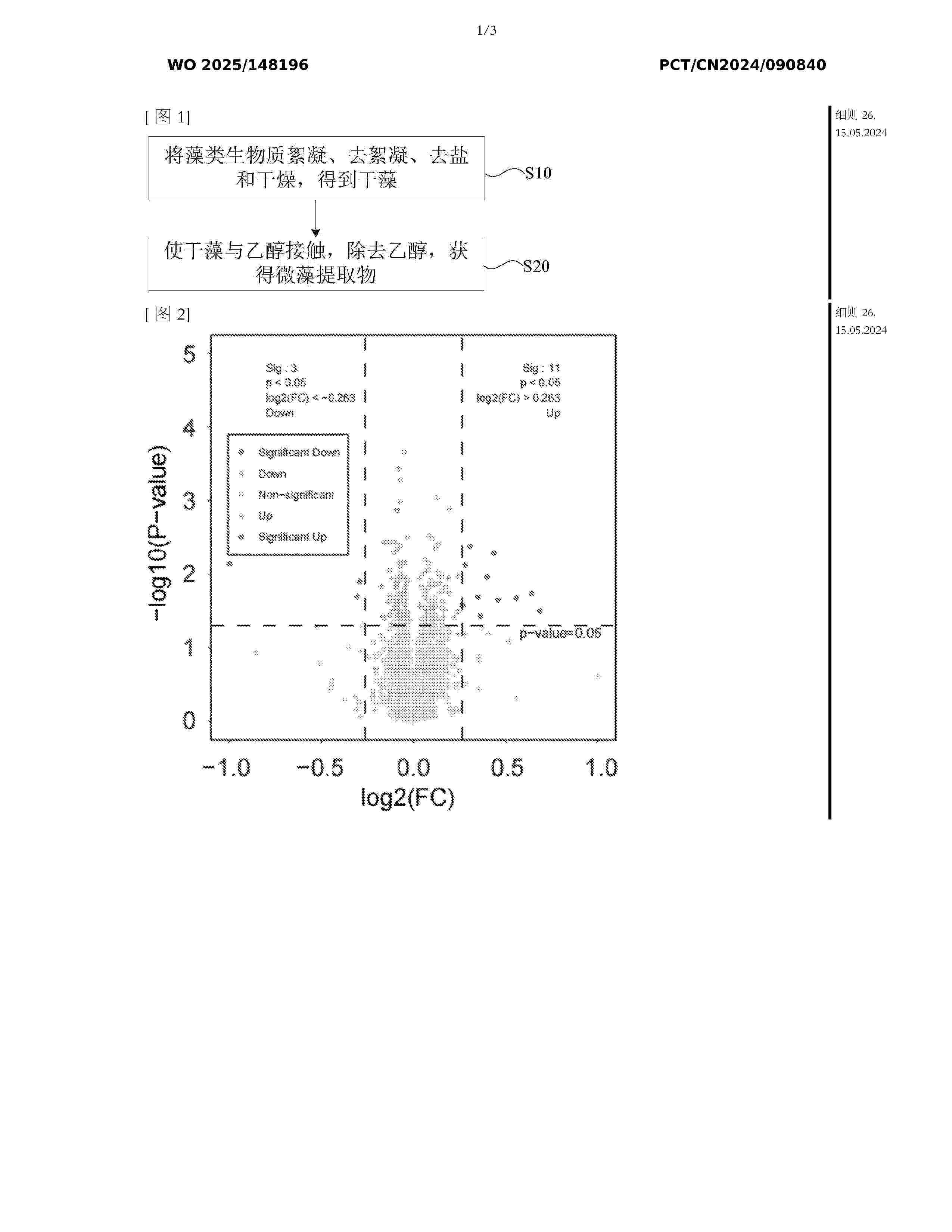 WO_2025148196_A1