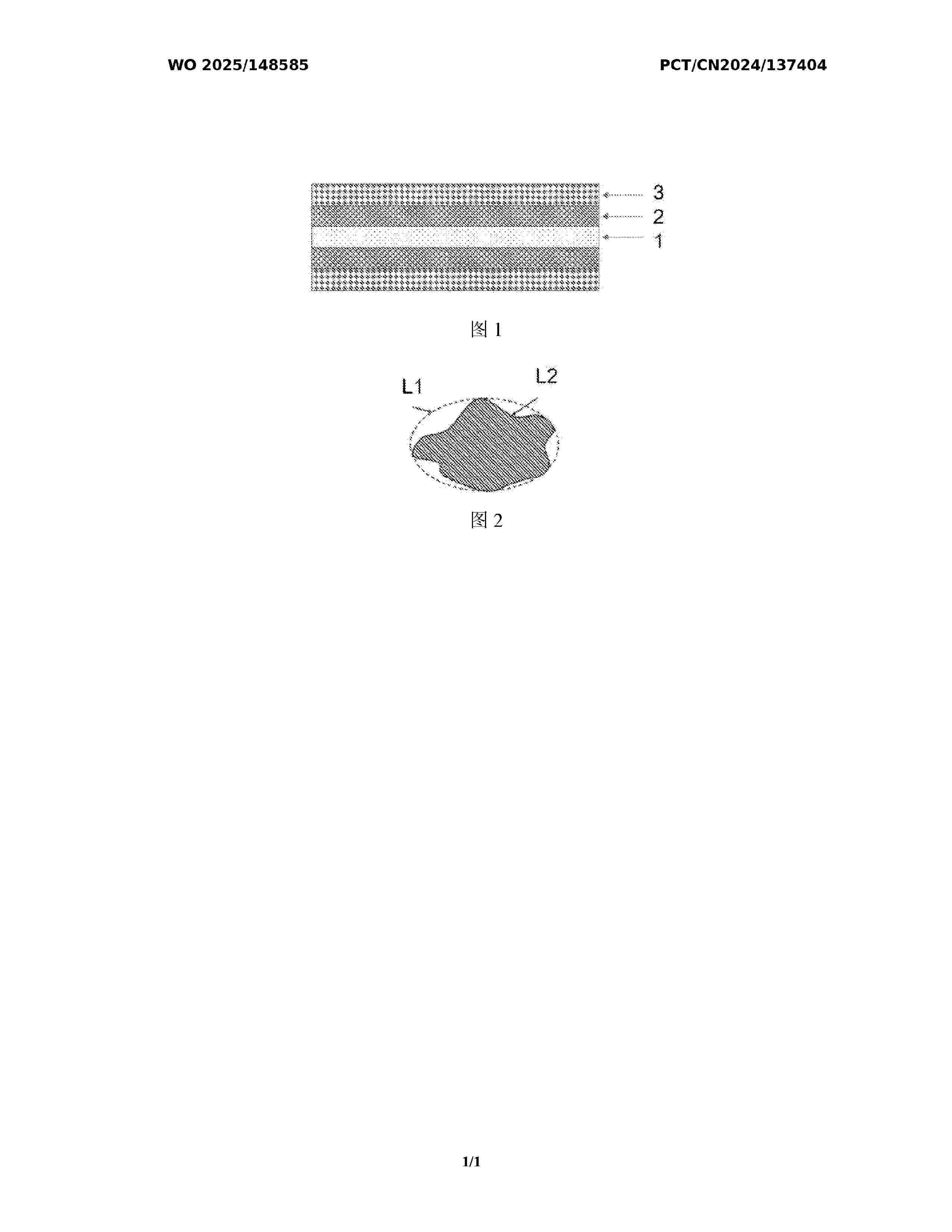 WO_2025148585_A1