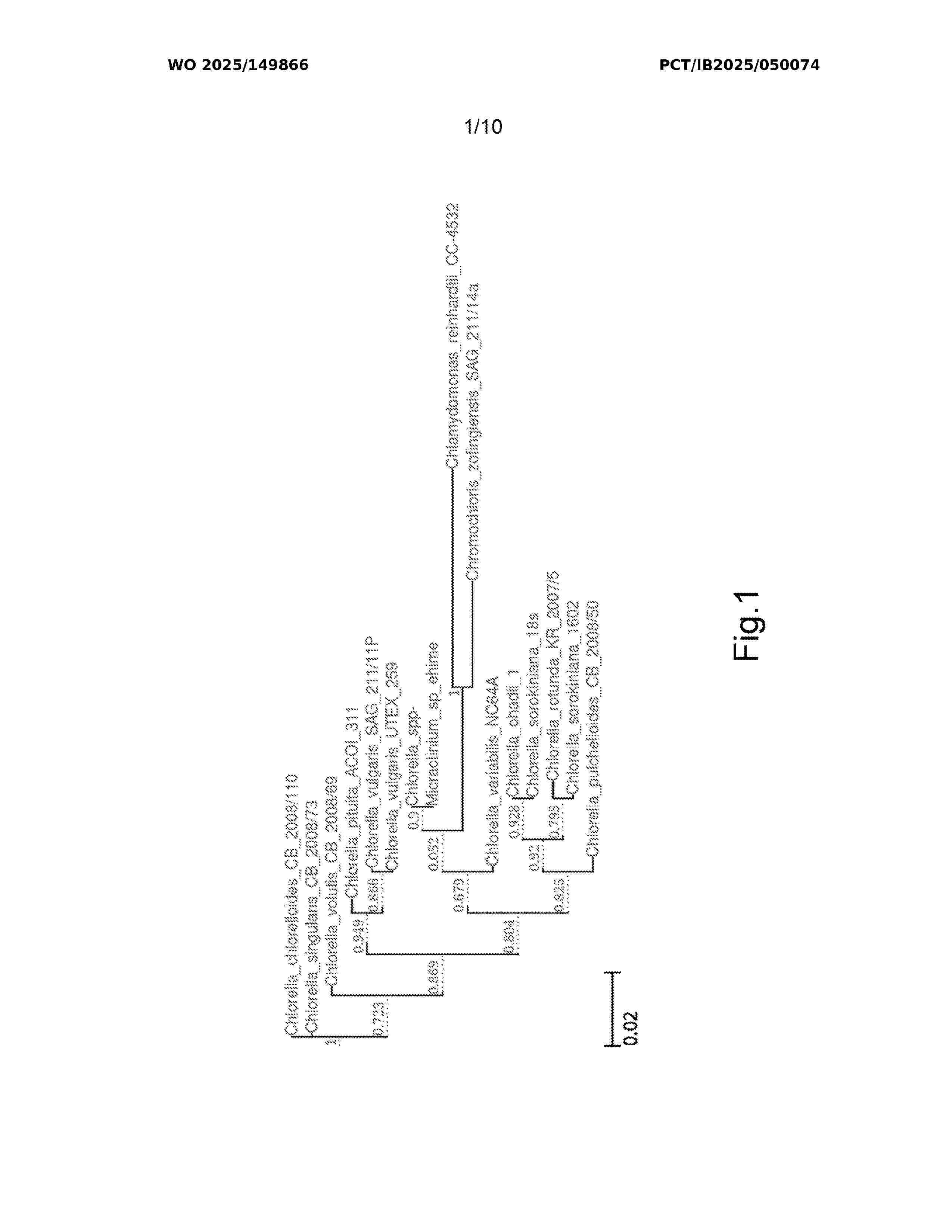WO_2025149866_A1