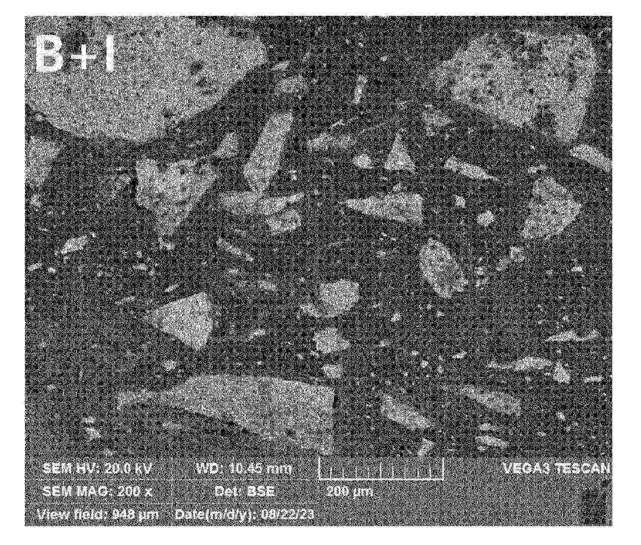 WO_2025150655_PA