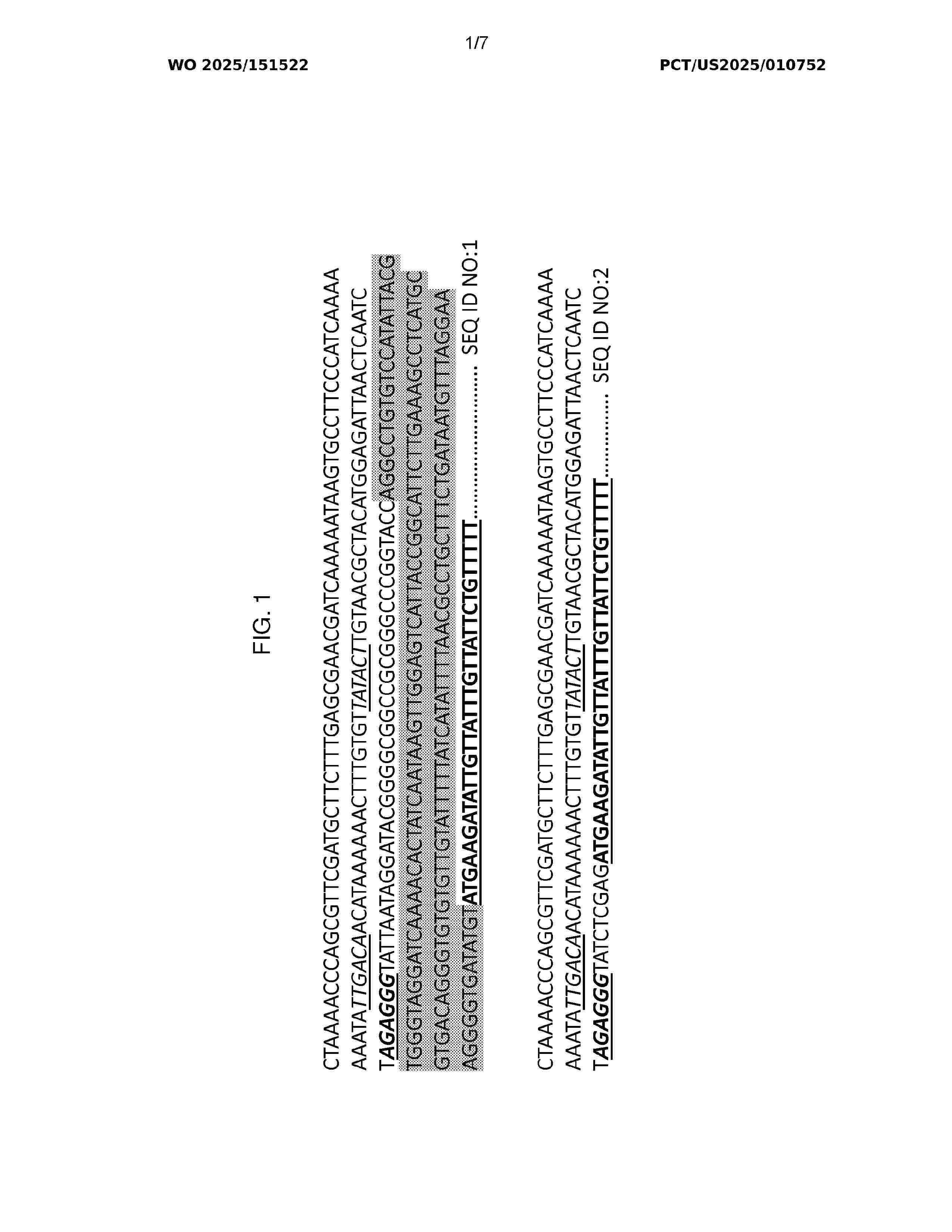 WO_2025151522_A2
