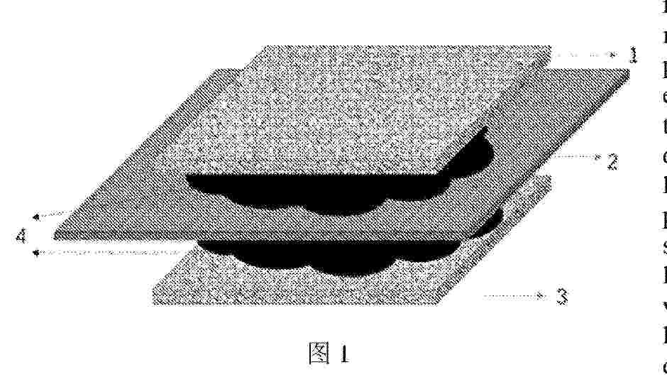 WO_2025156556_PA