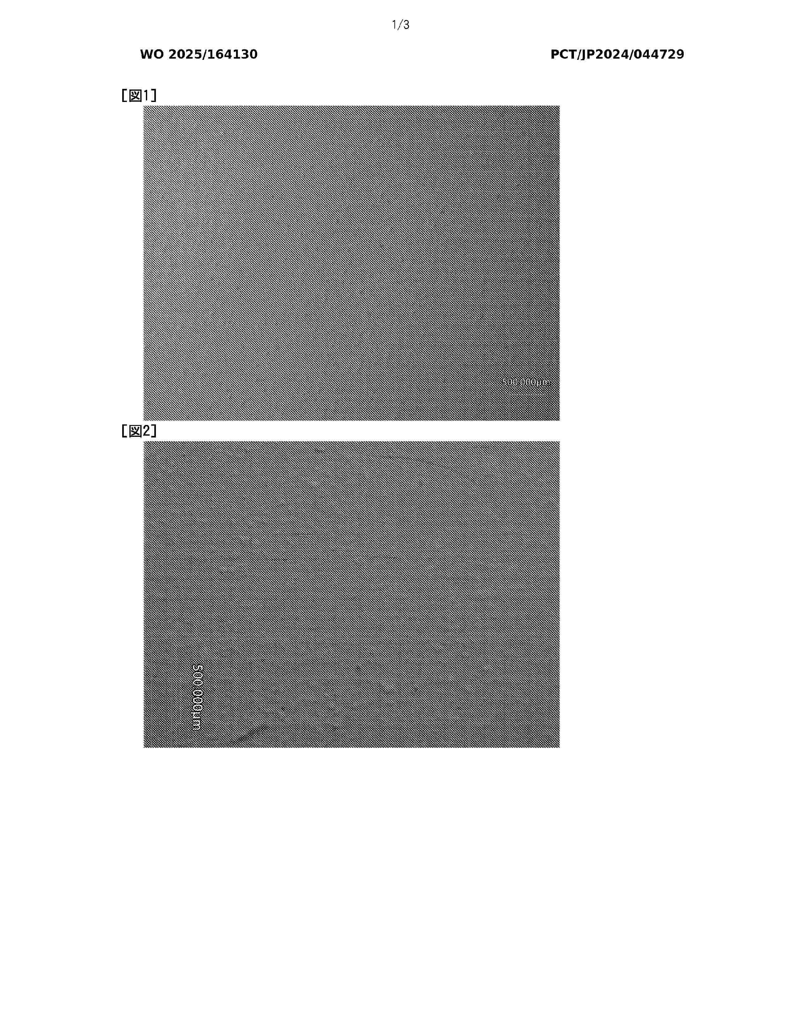 WO_2025164130_A1