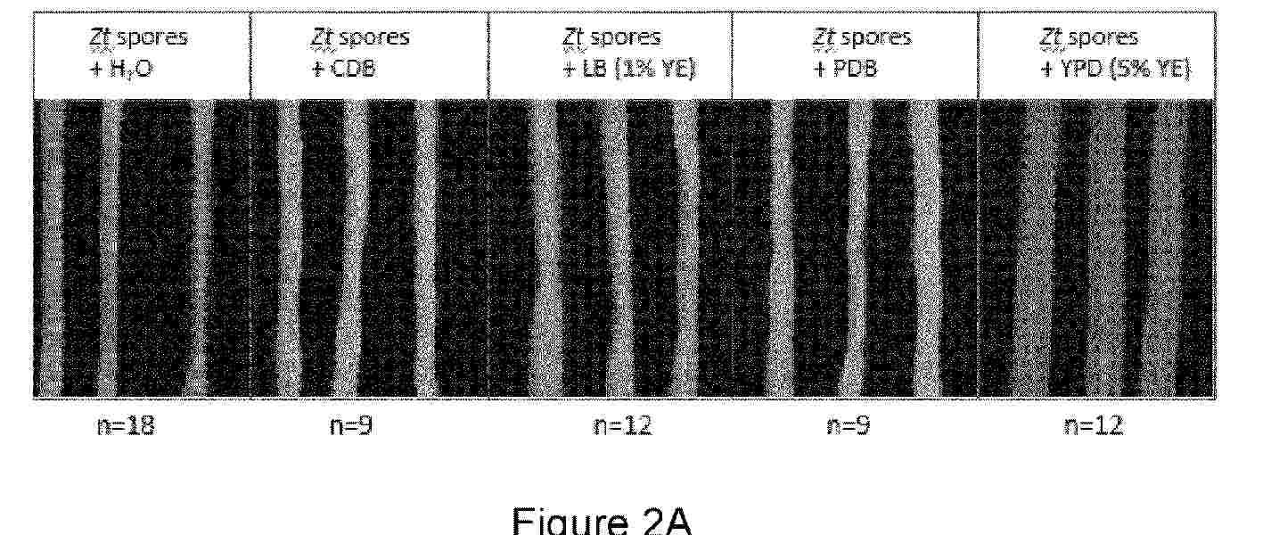WO_2025186055_PA