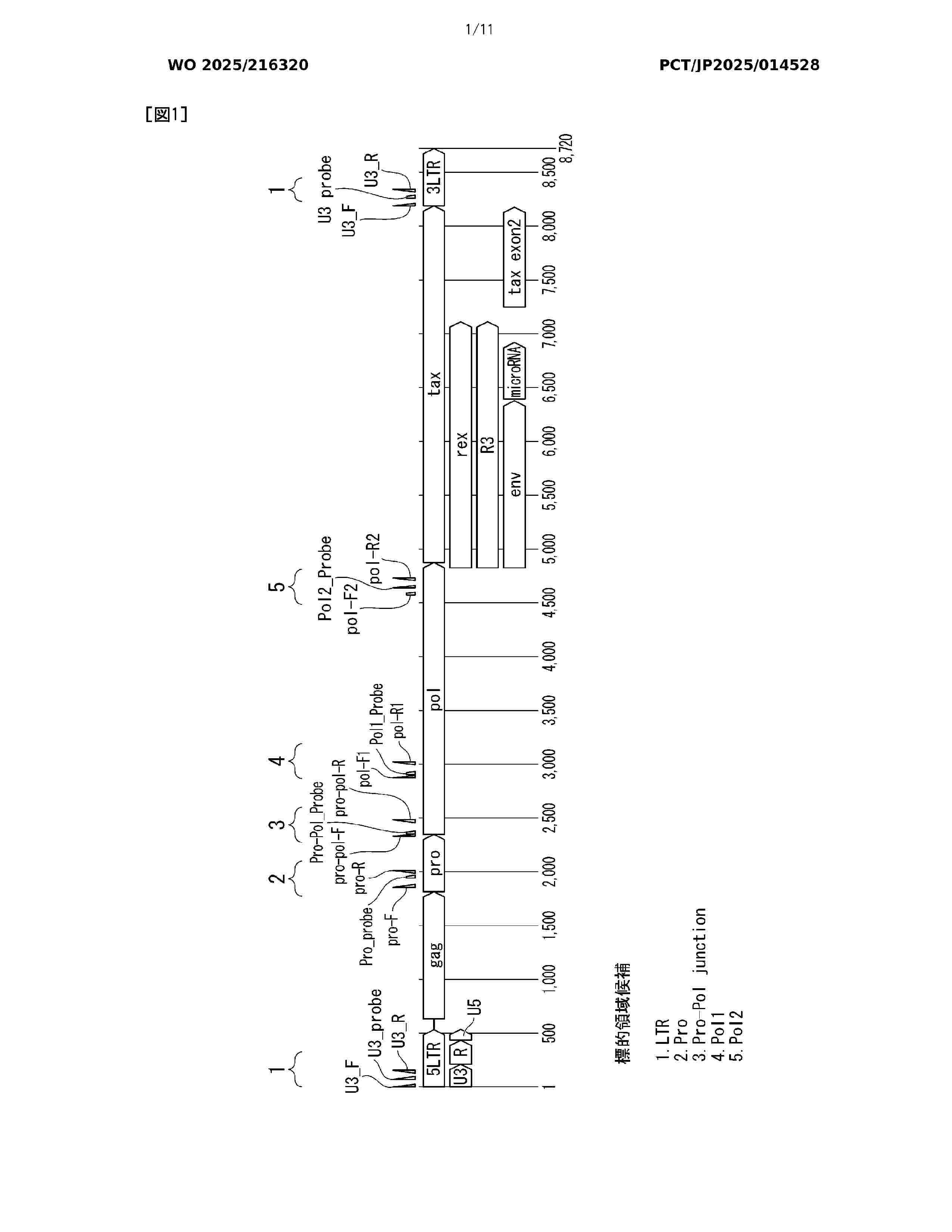 WO_2025216320_A1