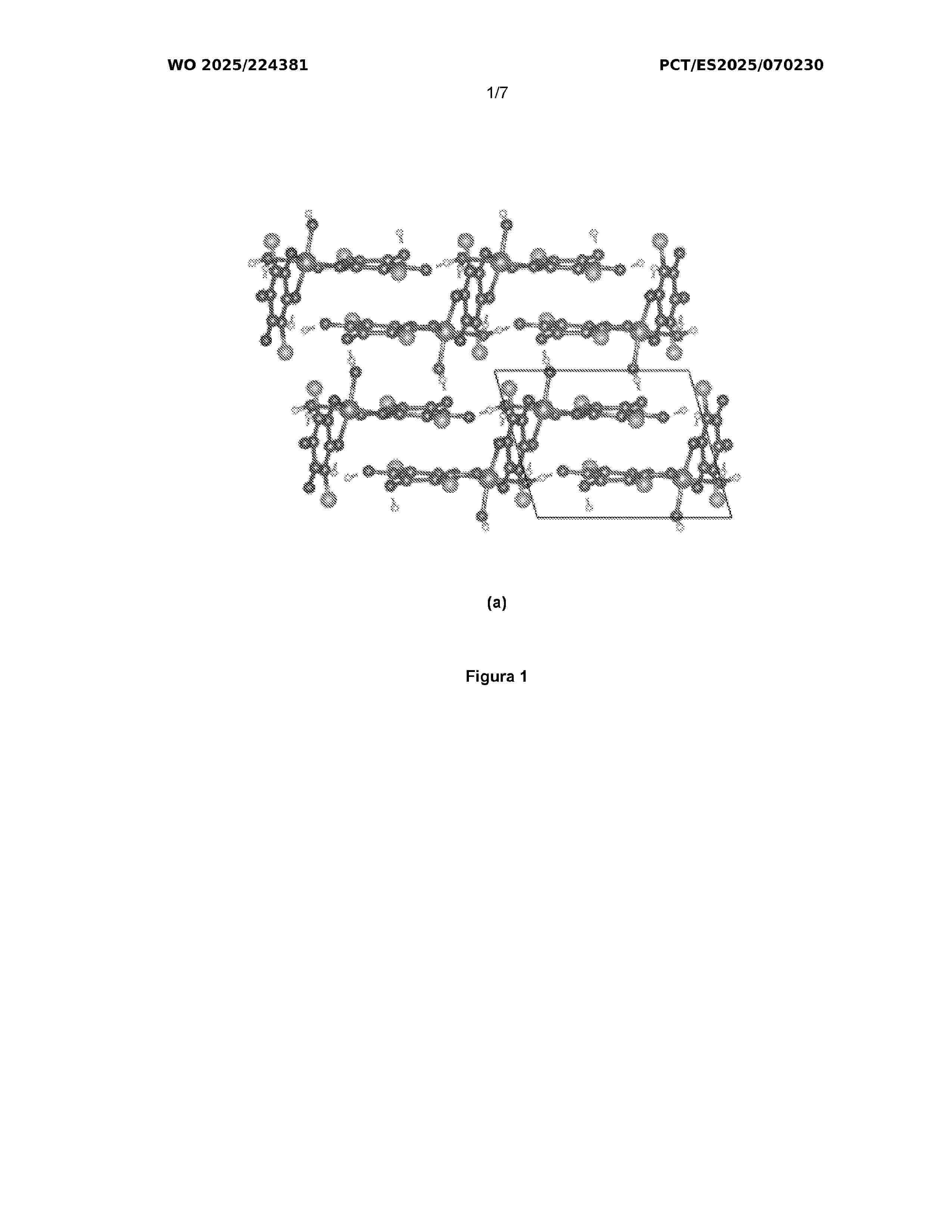 WO_2025224381_A1