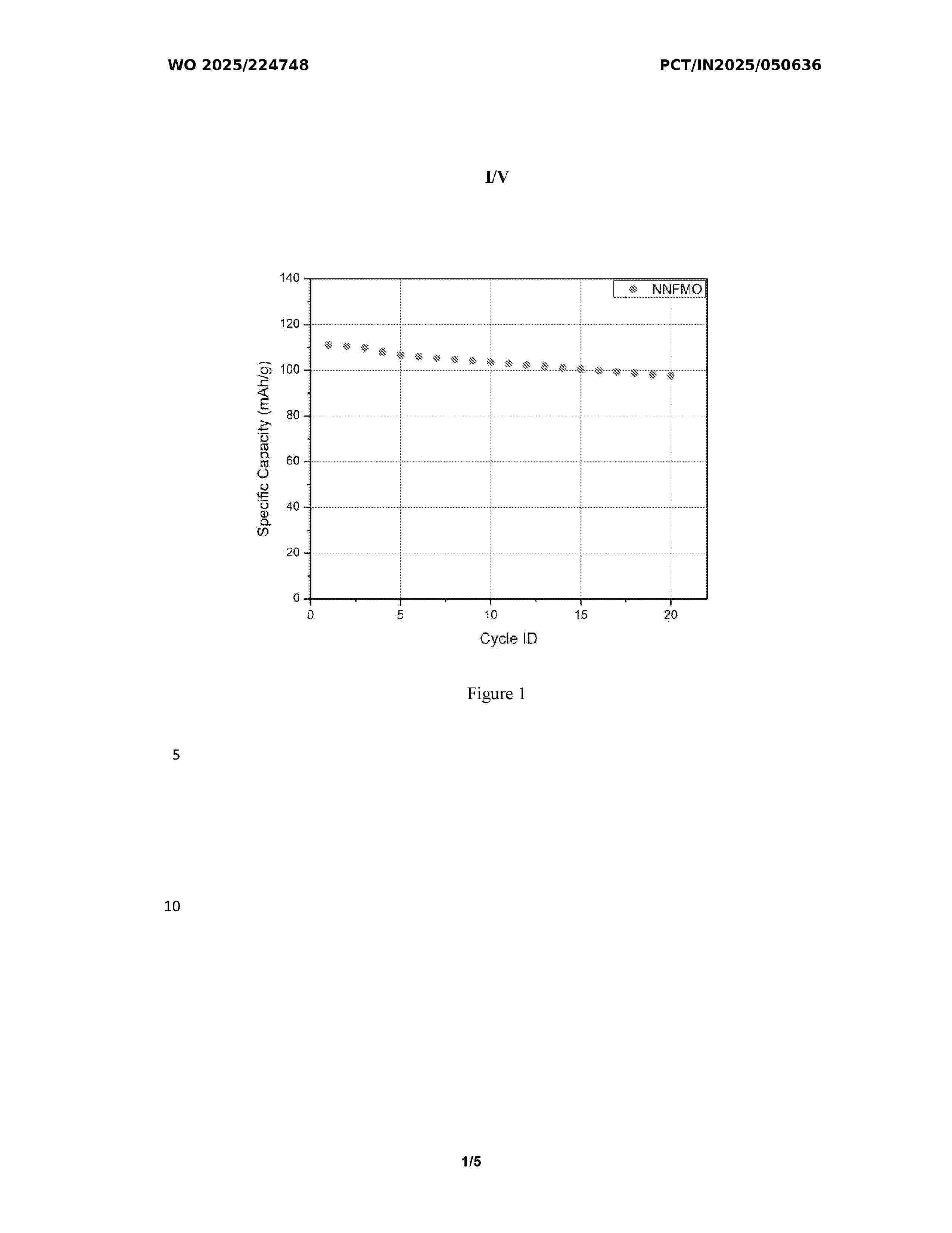 WO_2025224748_A1