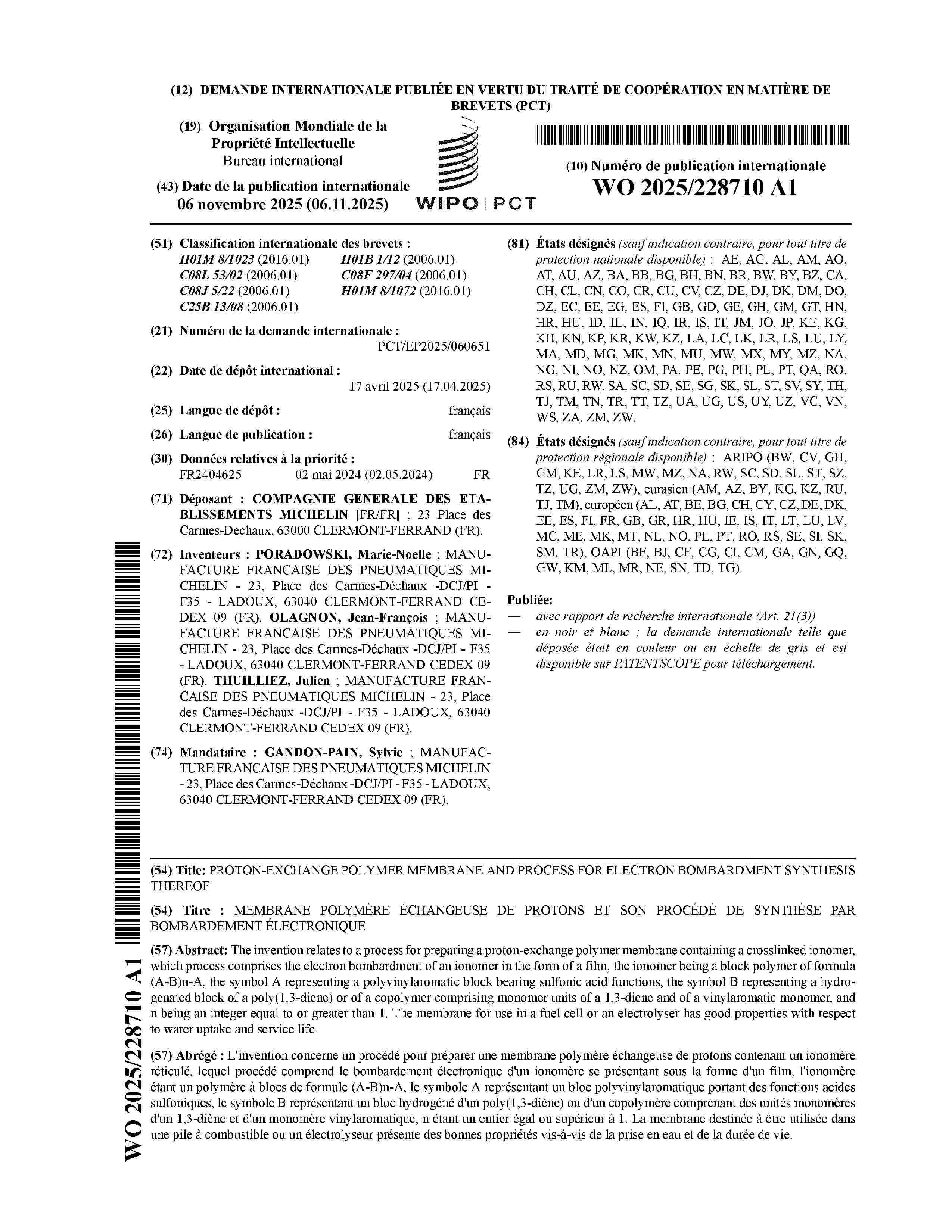 WO_2025228710_A1