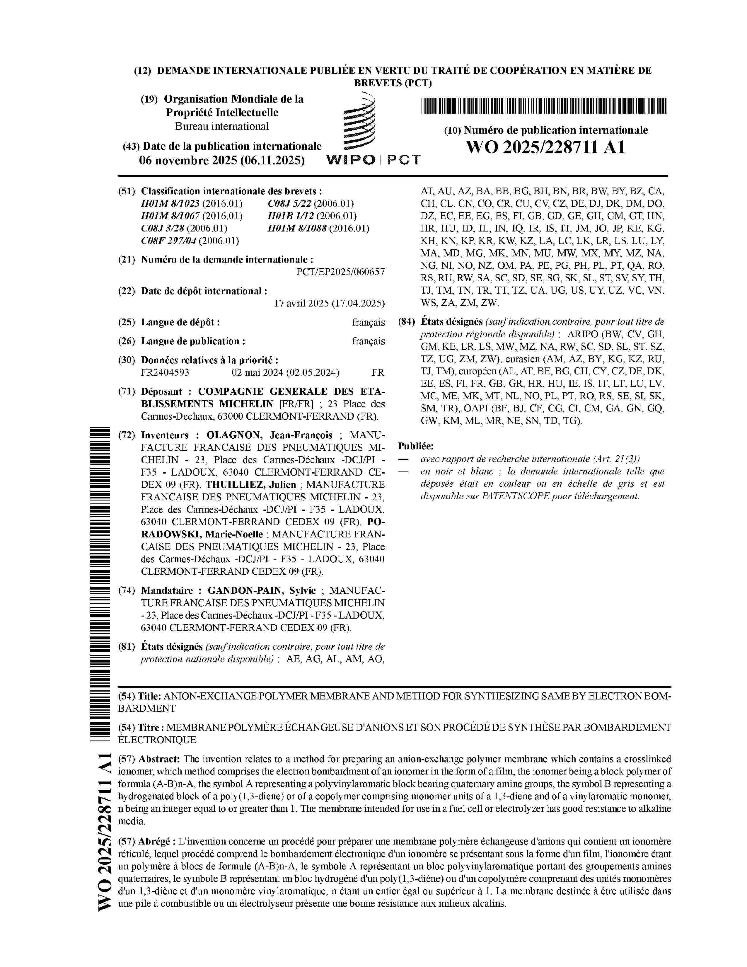 WO_2025228711_A1