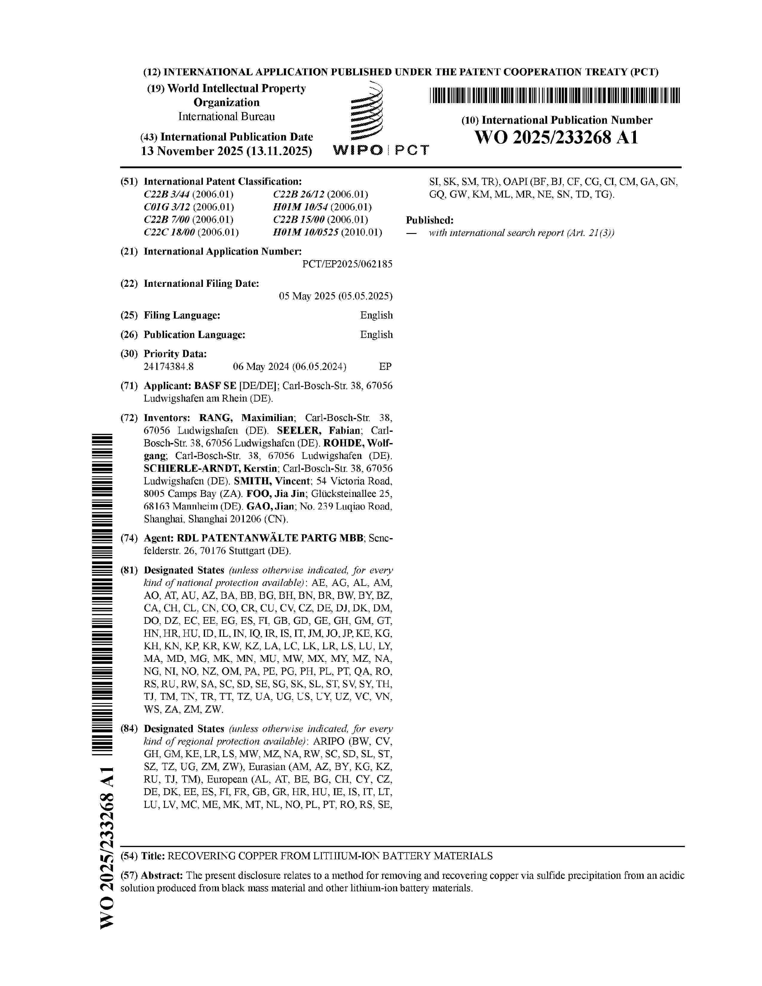 WO_2025233268_A1