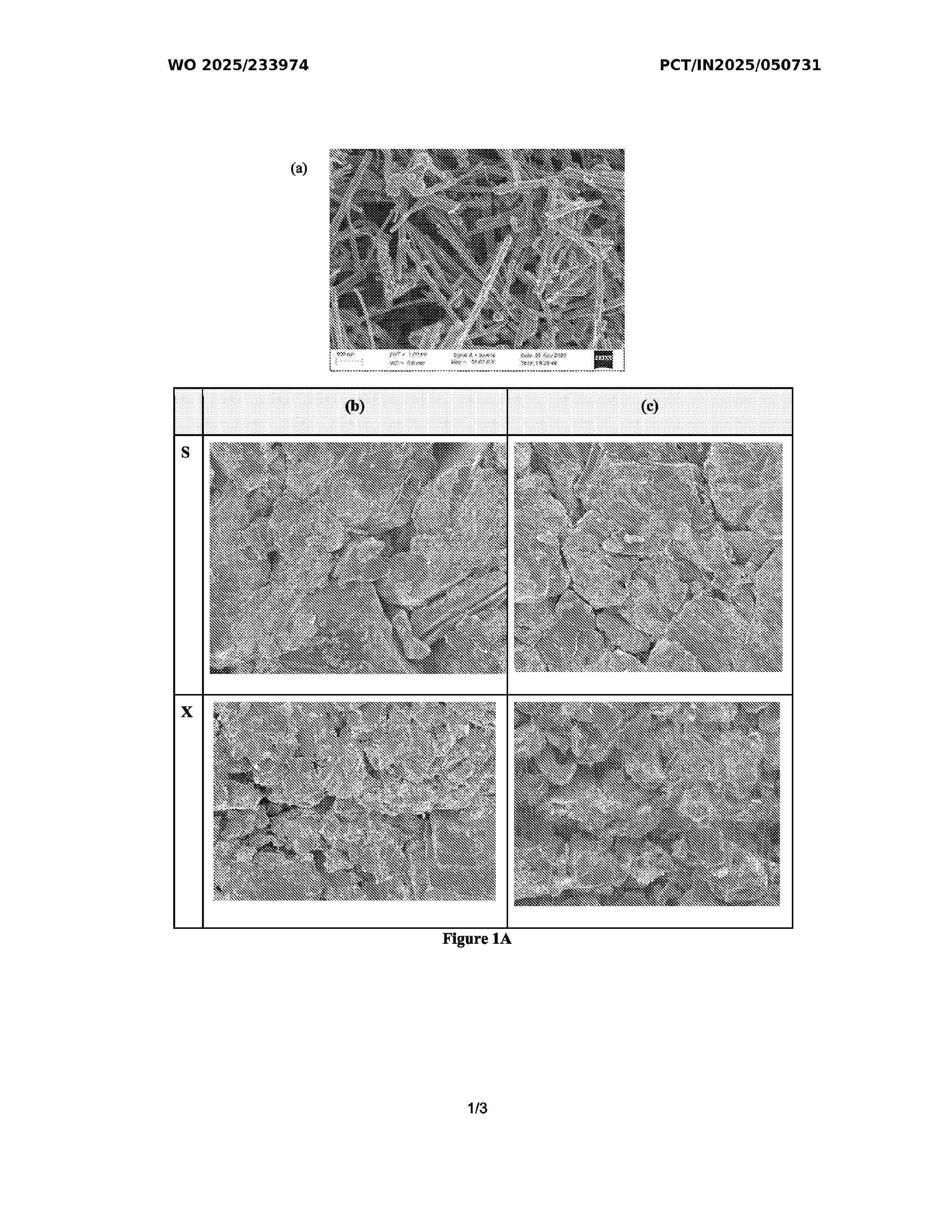 WO_2025233974_A1
