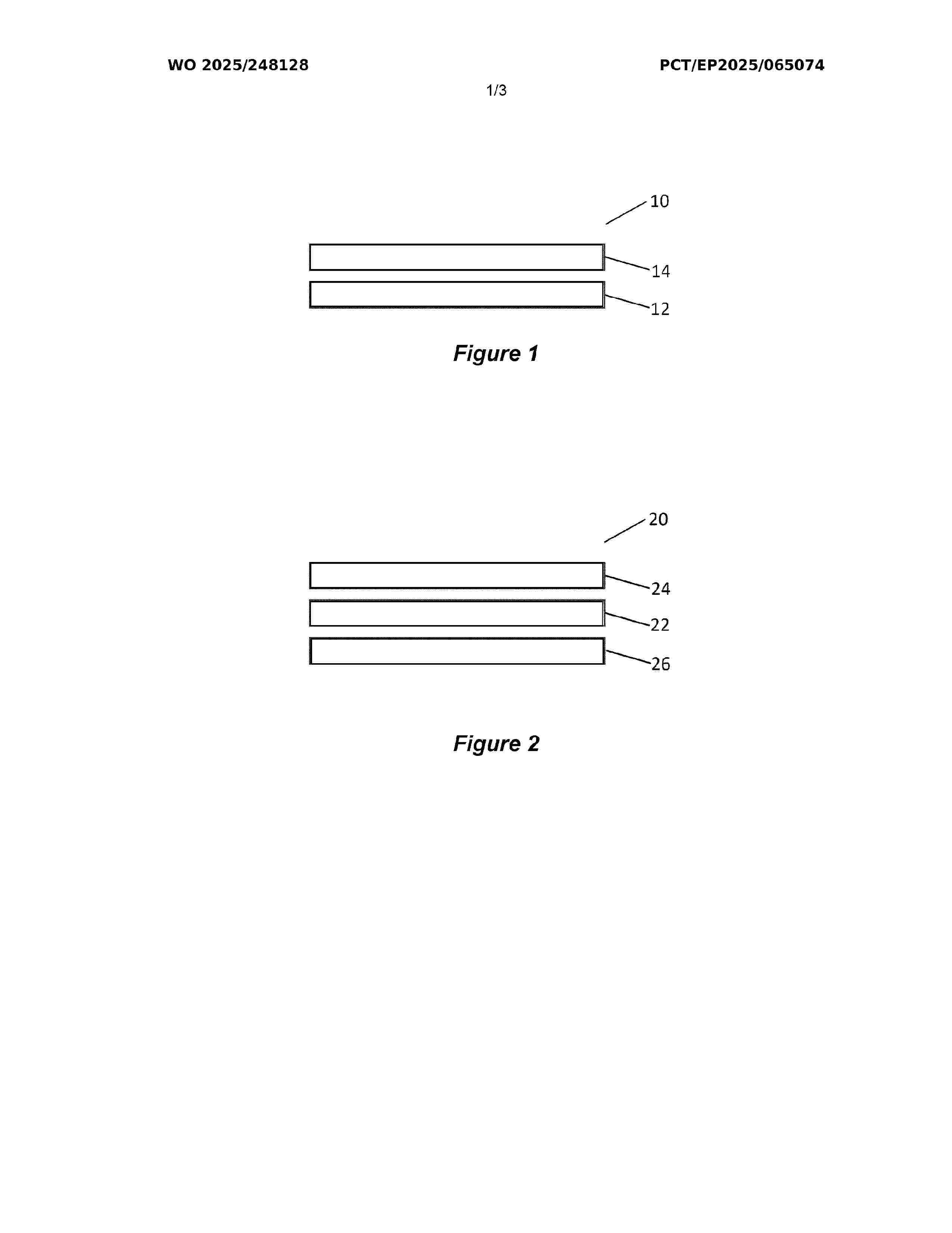 WO_2025248128_A1