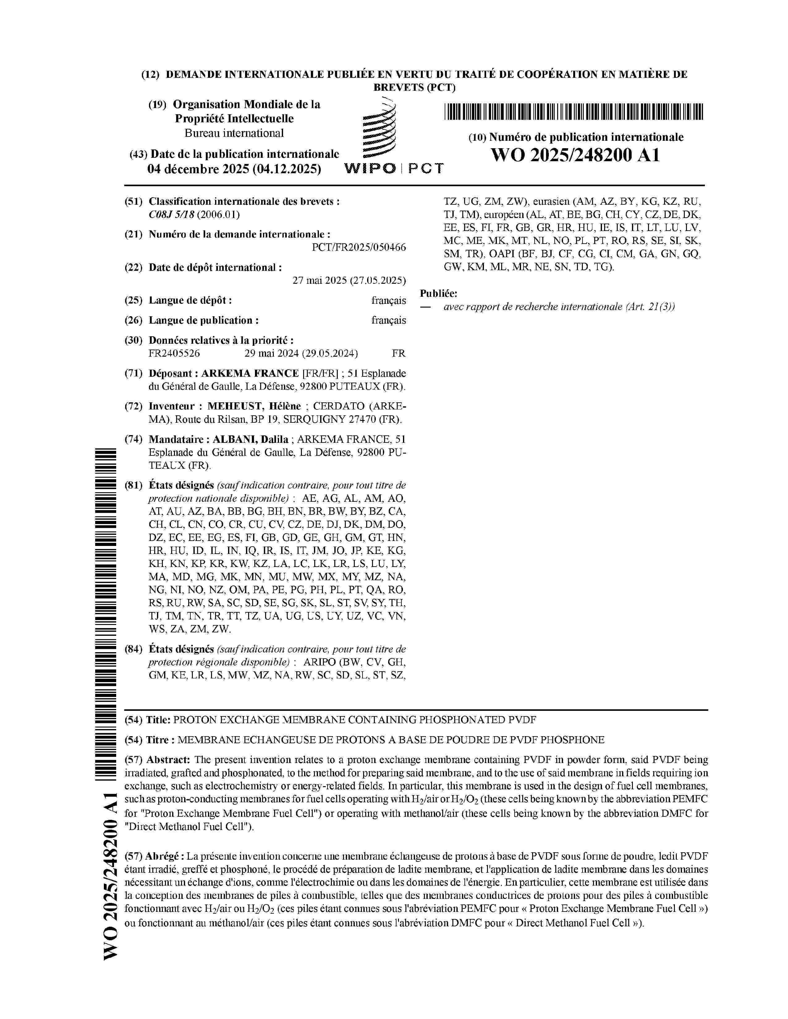 WO_2025248200_A1