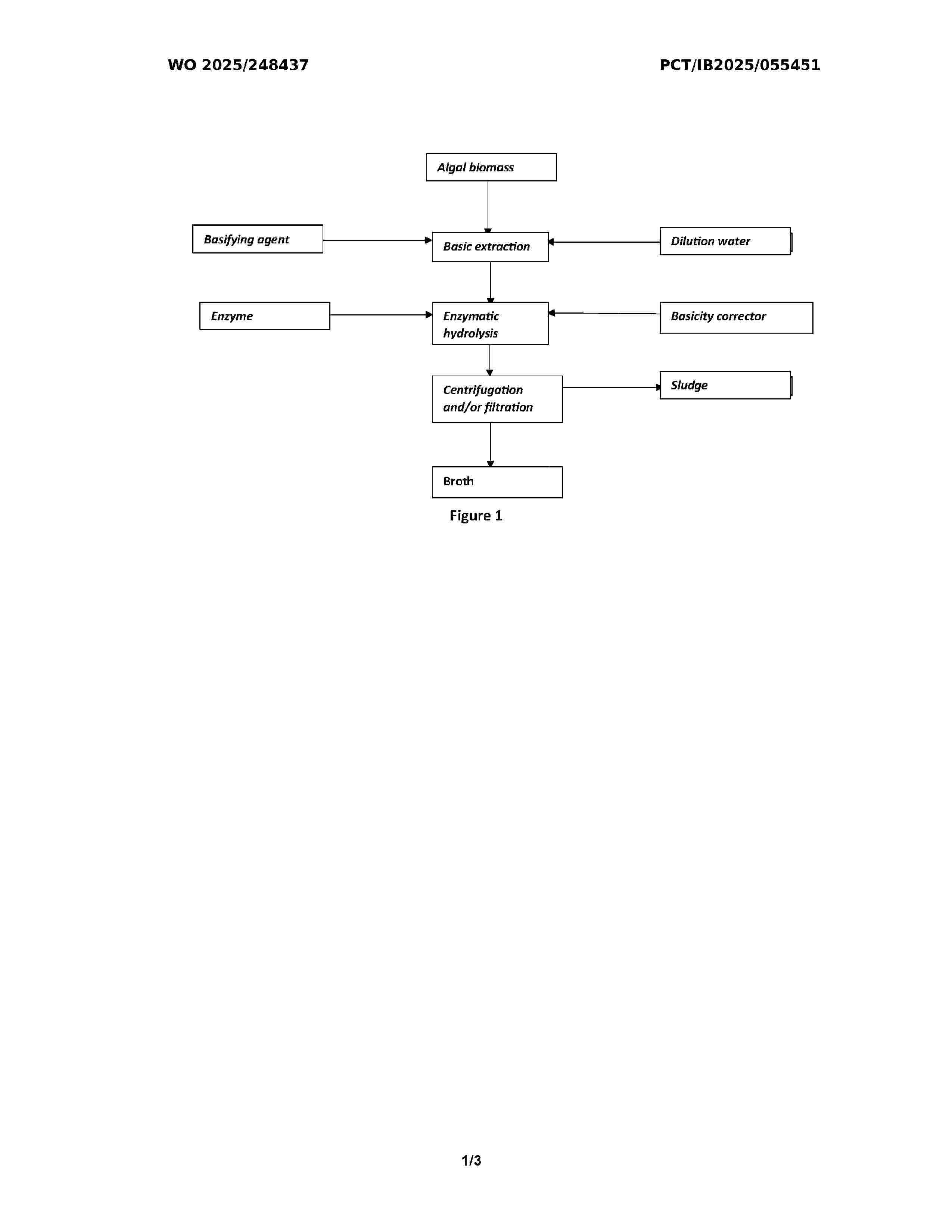WO_2025248437_A1