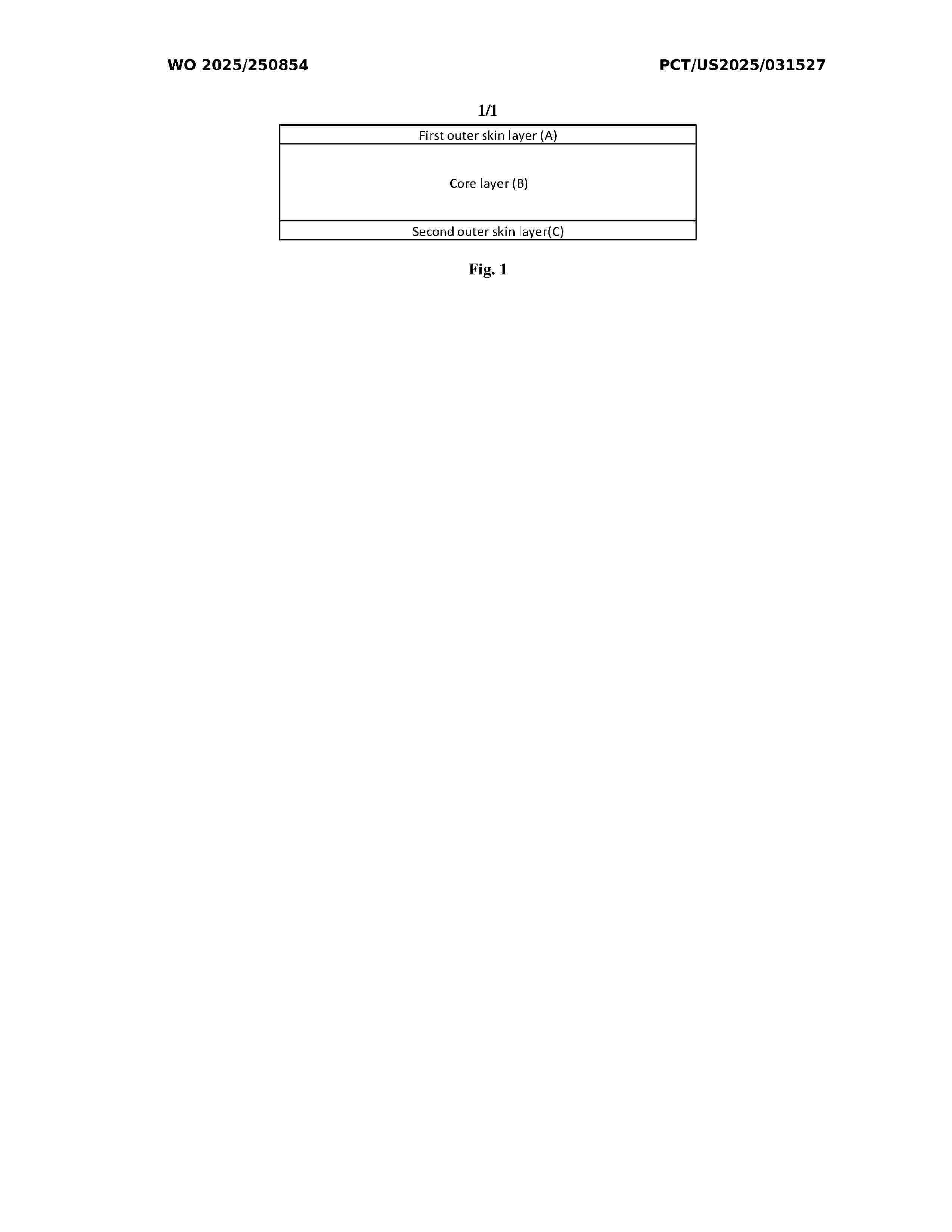 WO_2025250854_A1