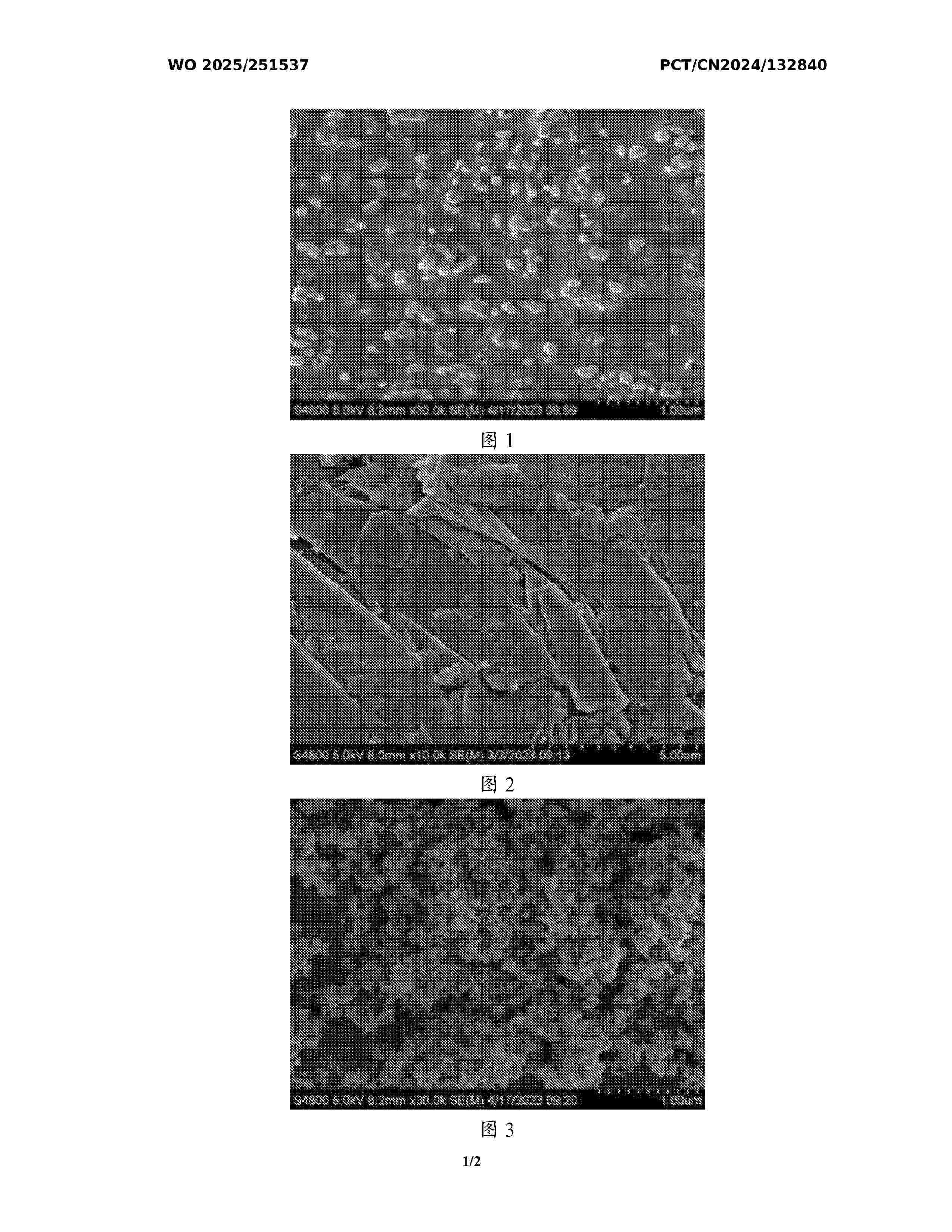 WO_2025251537_A1