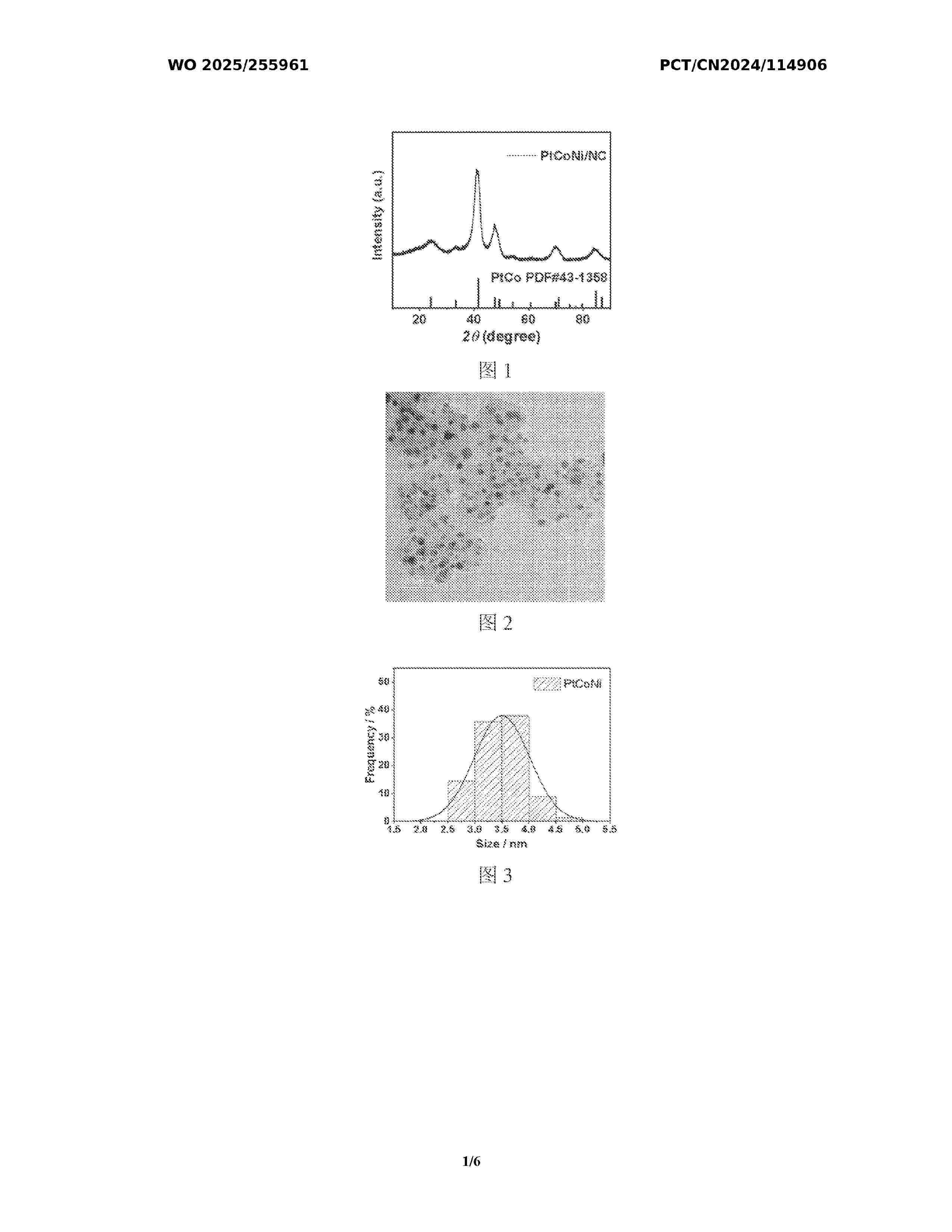 WO_2025255961_A1