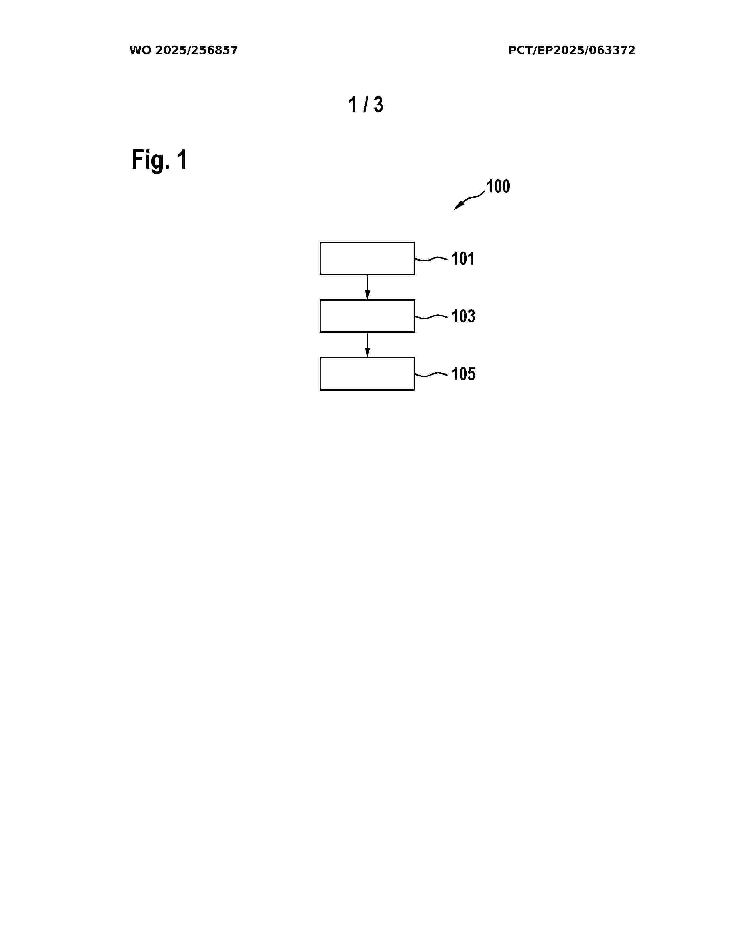 WO_2025256857_A1