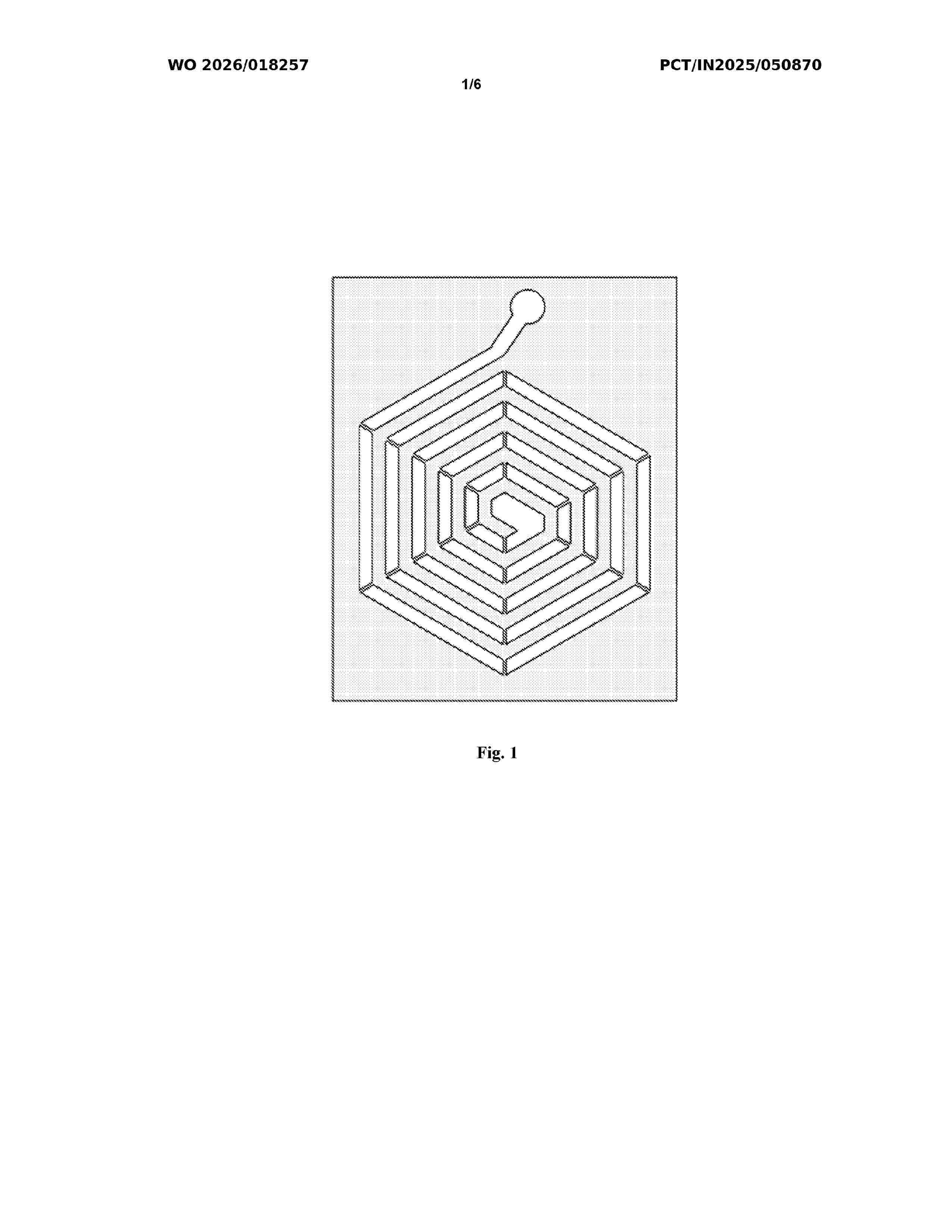 WO_2026018257_A1