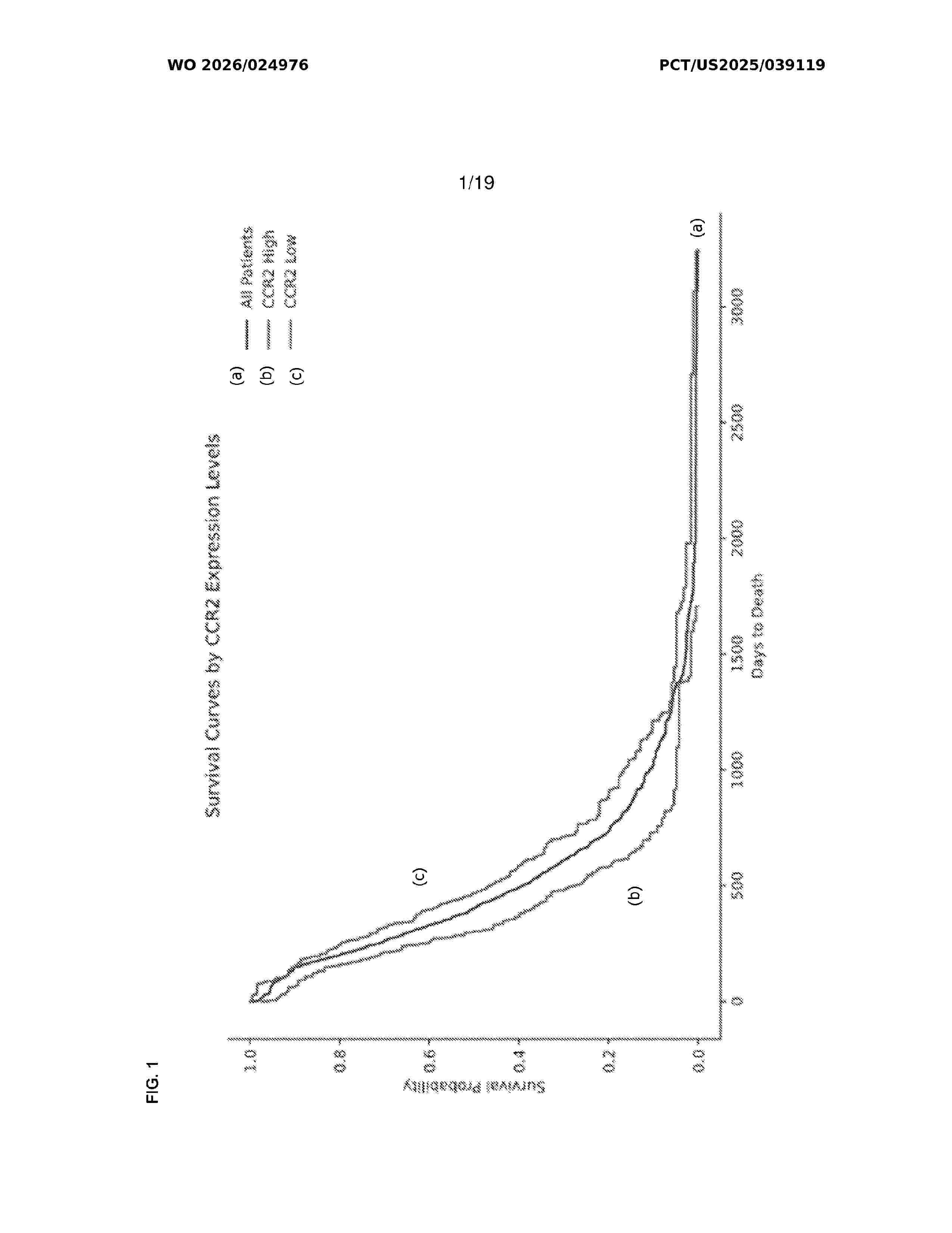 WO_2026024976_A1