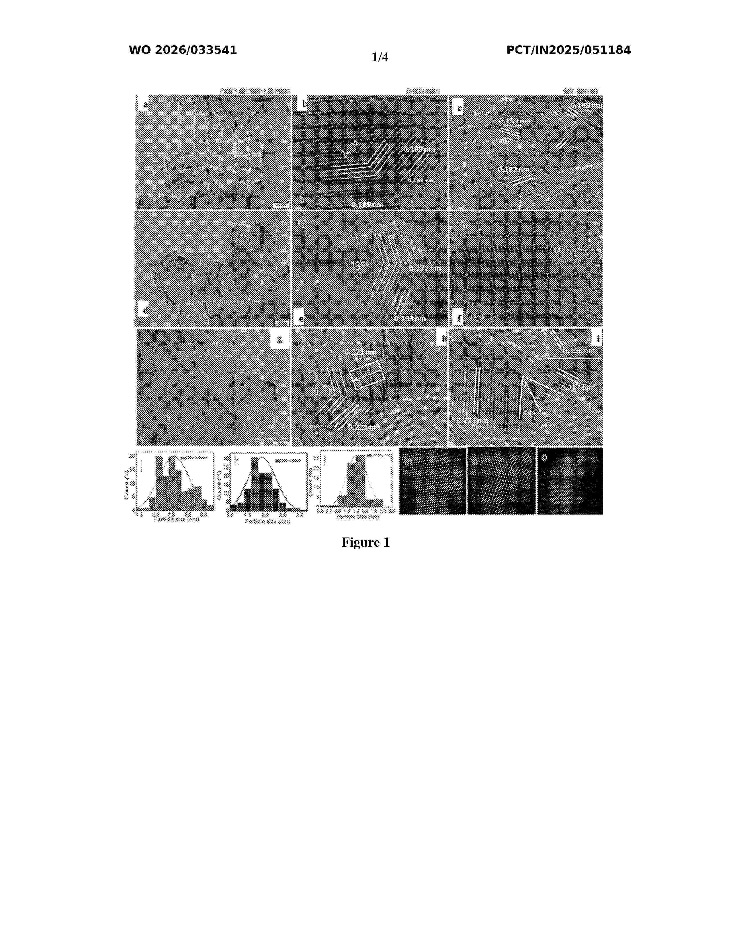 WO_2026033541_A1