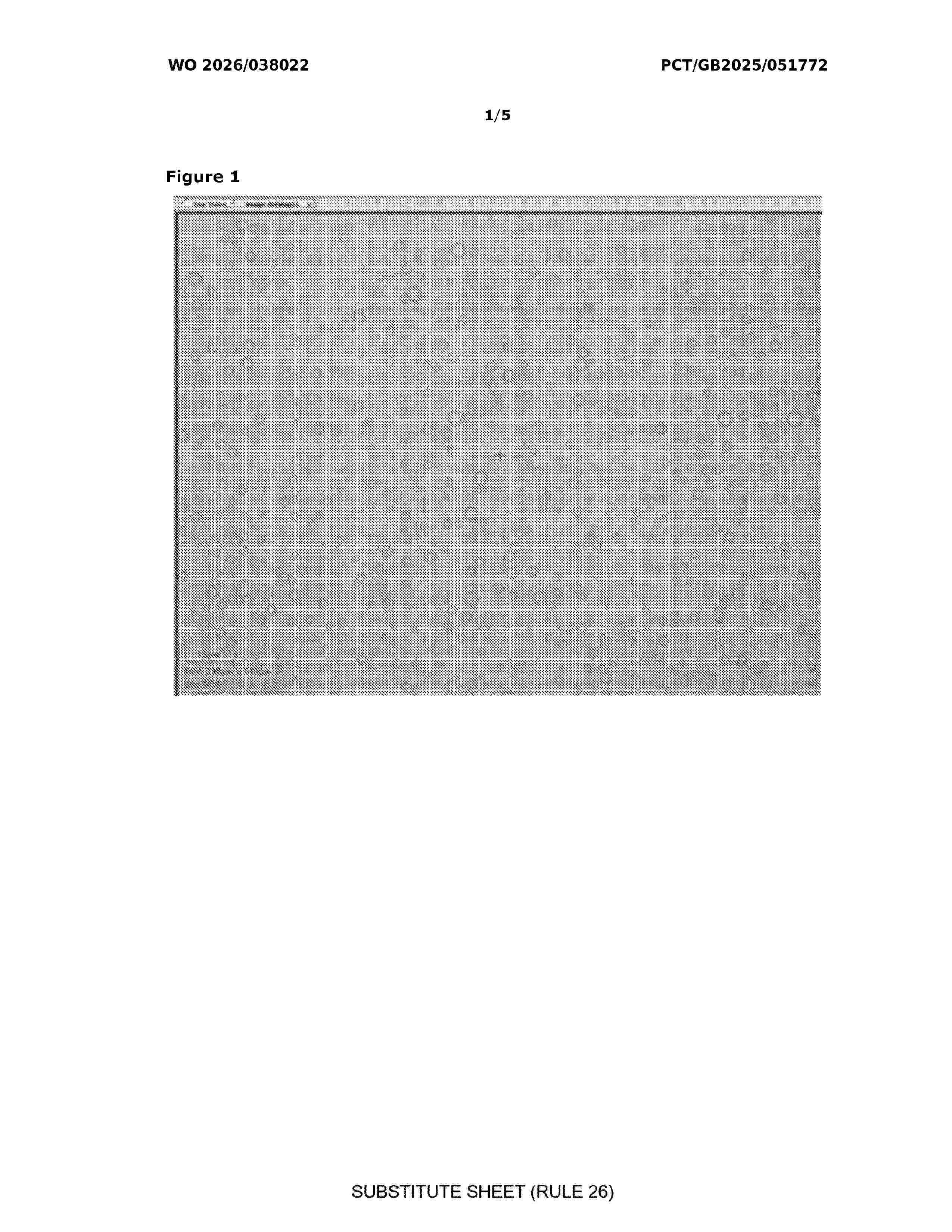 WO_2026038022_A1