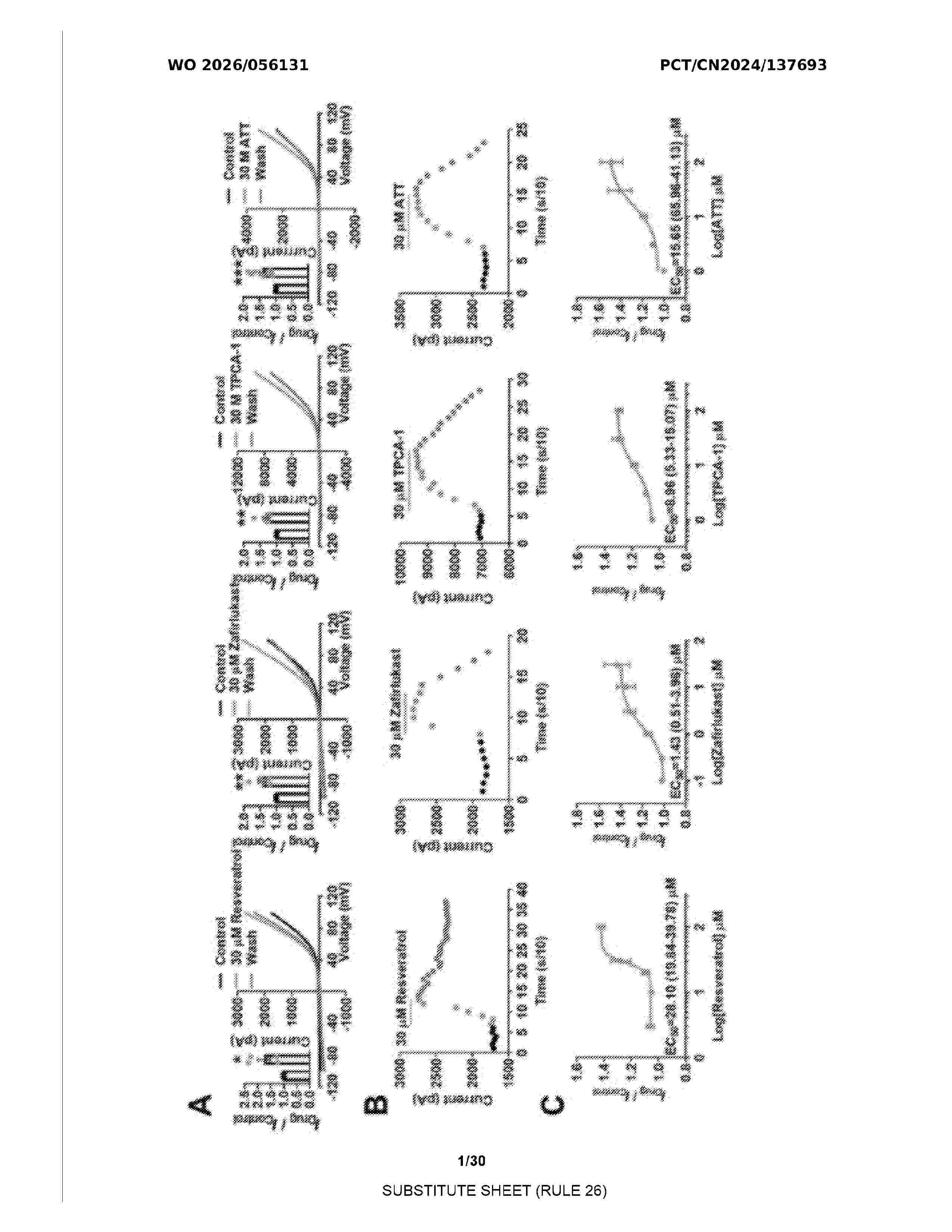 WO_2026056131_A1