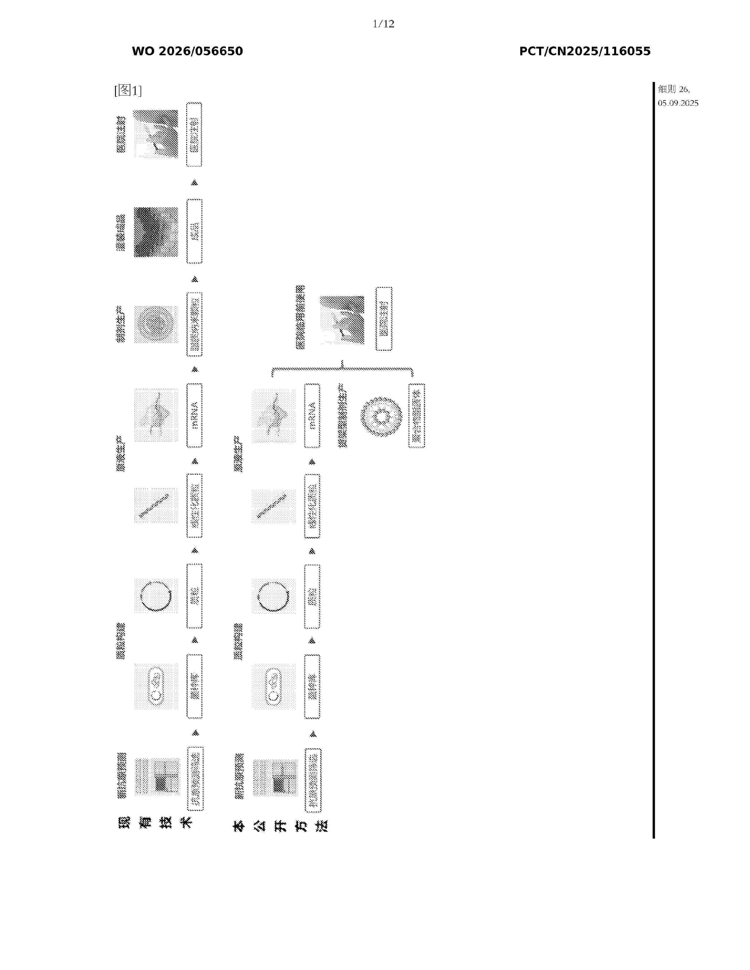 WO_2026056650_A1