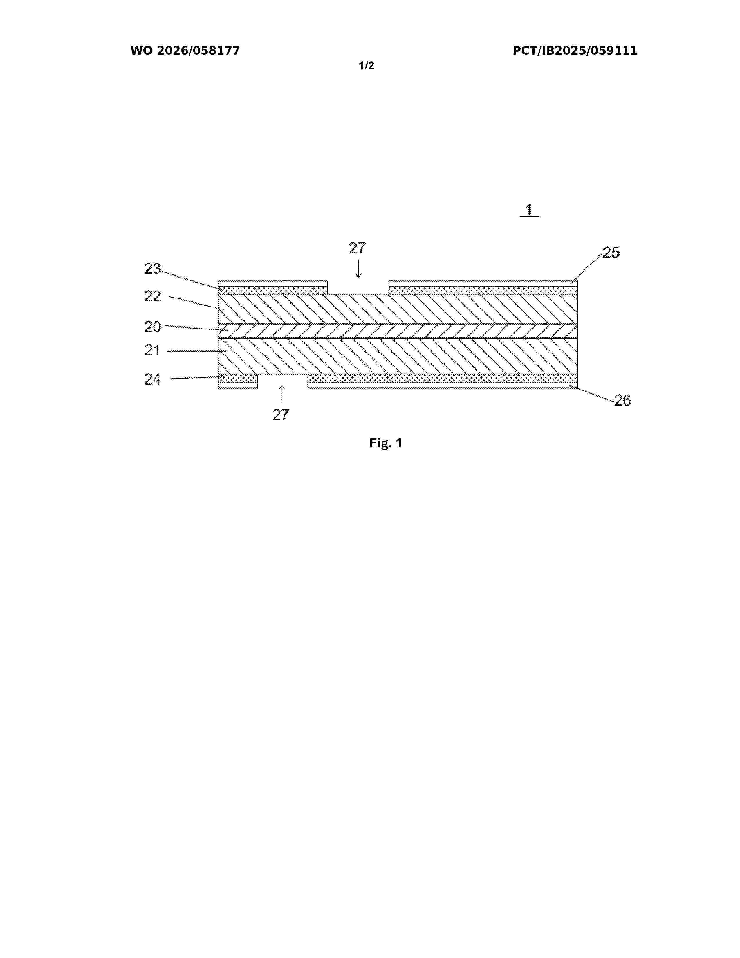 WO_2026058177_A1