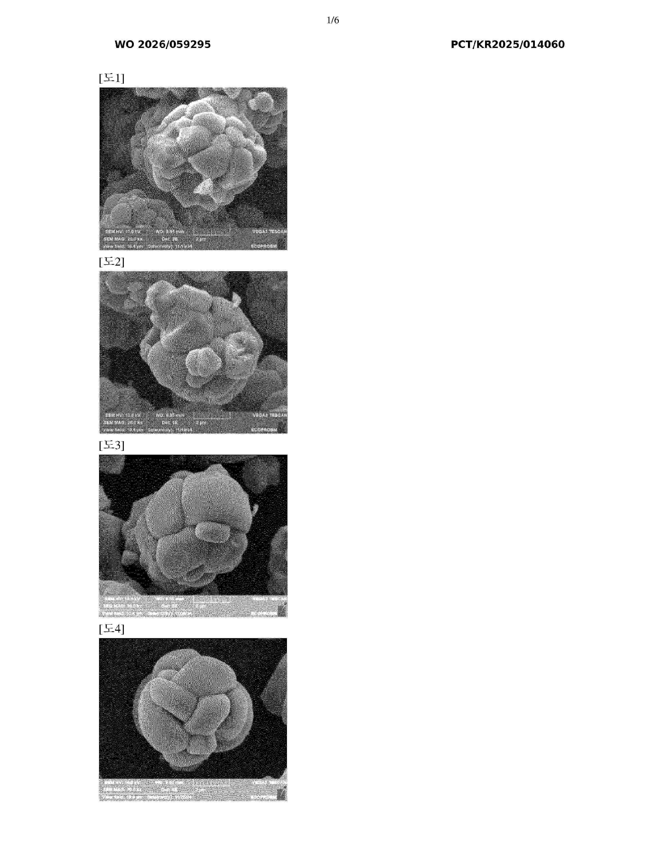 WO_2026059295_A1