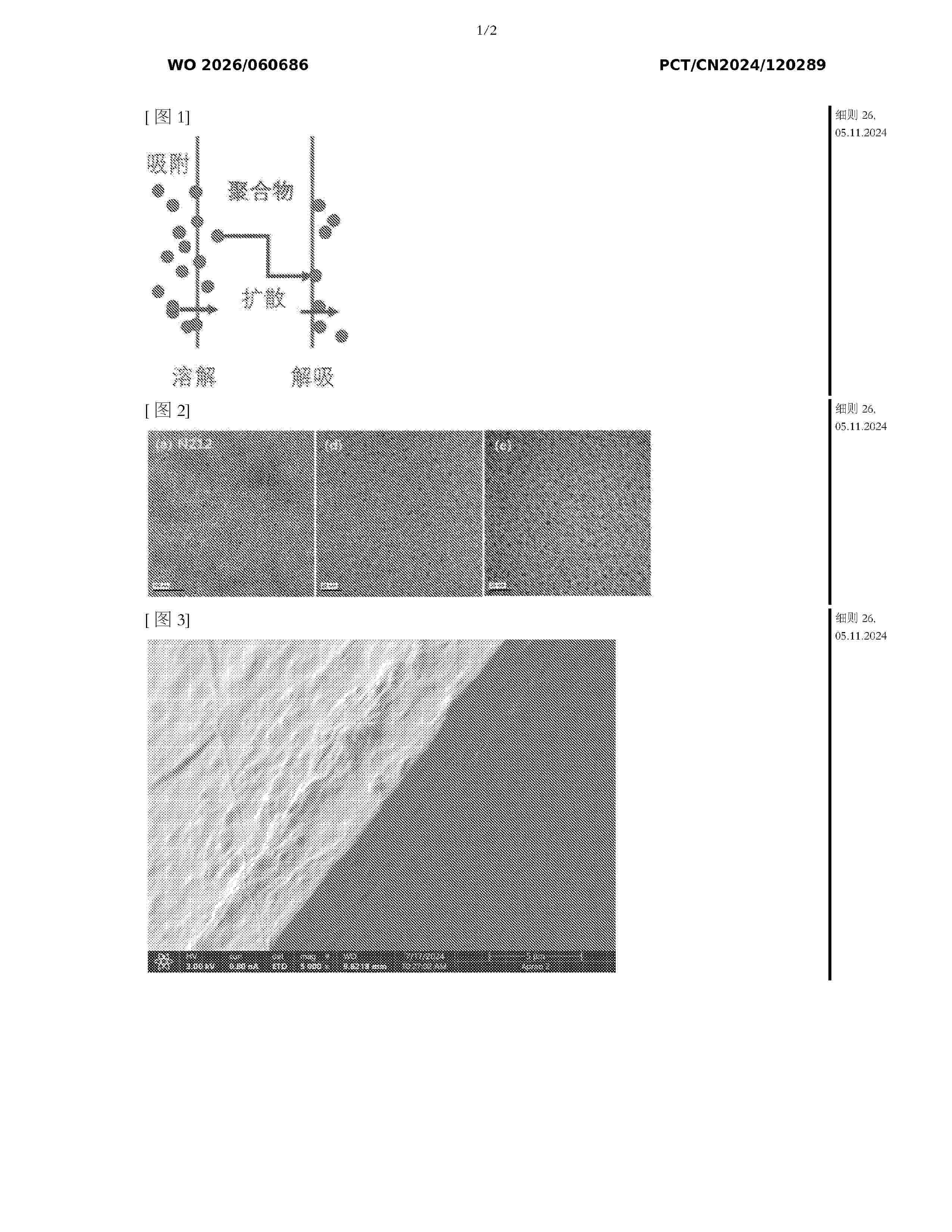WO_2026060686_A1