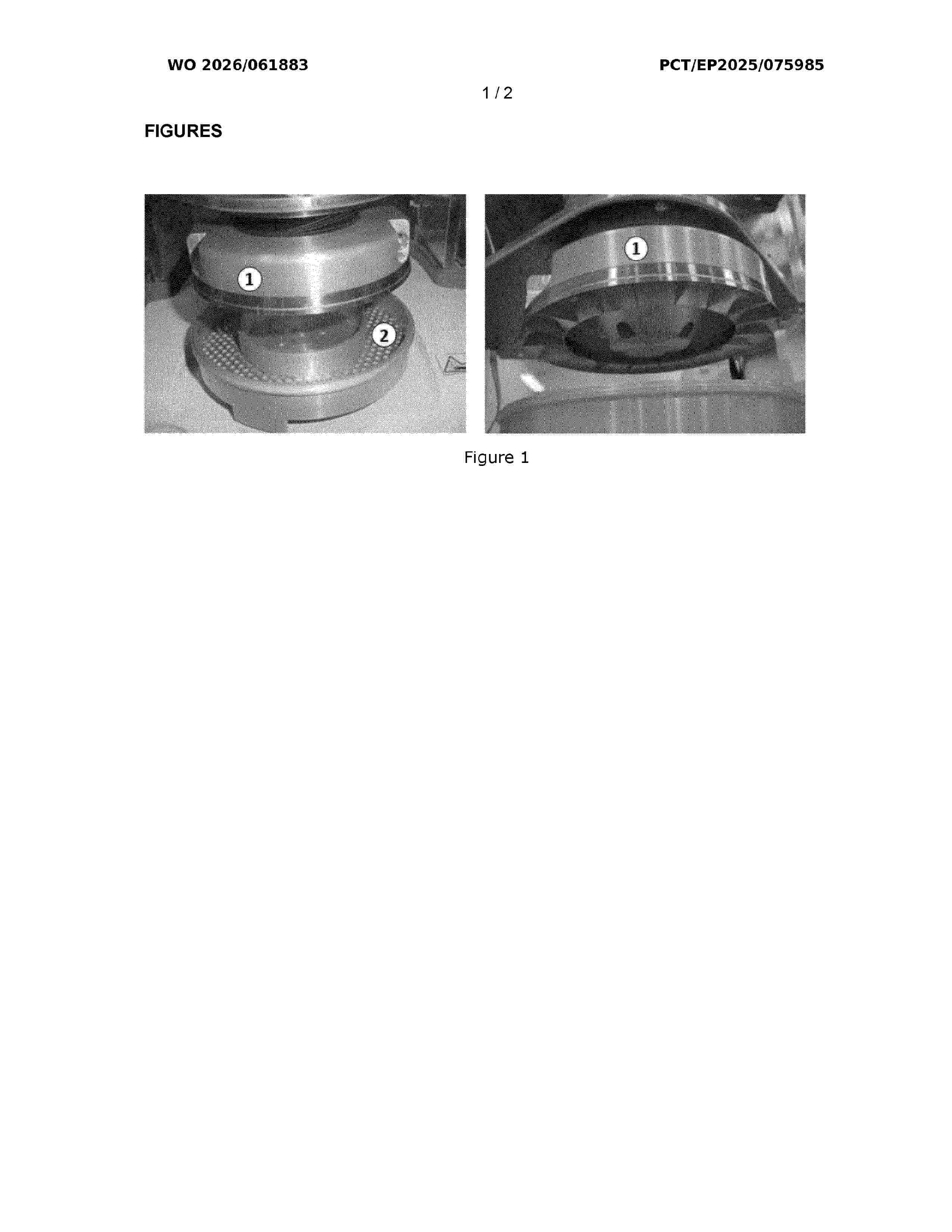 WO_2026061883_A1