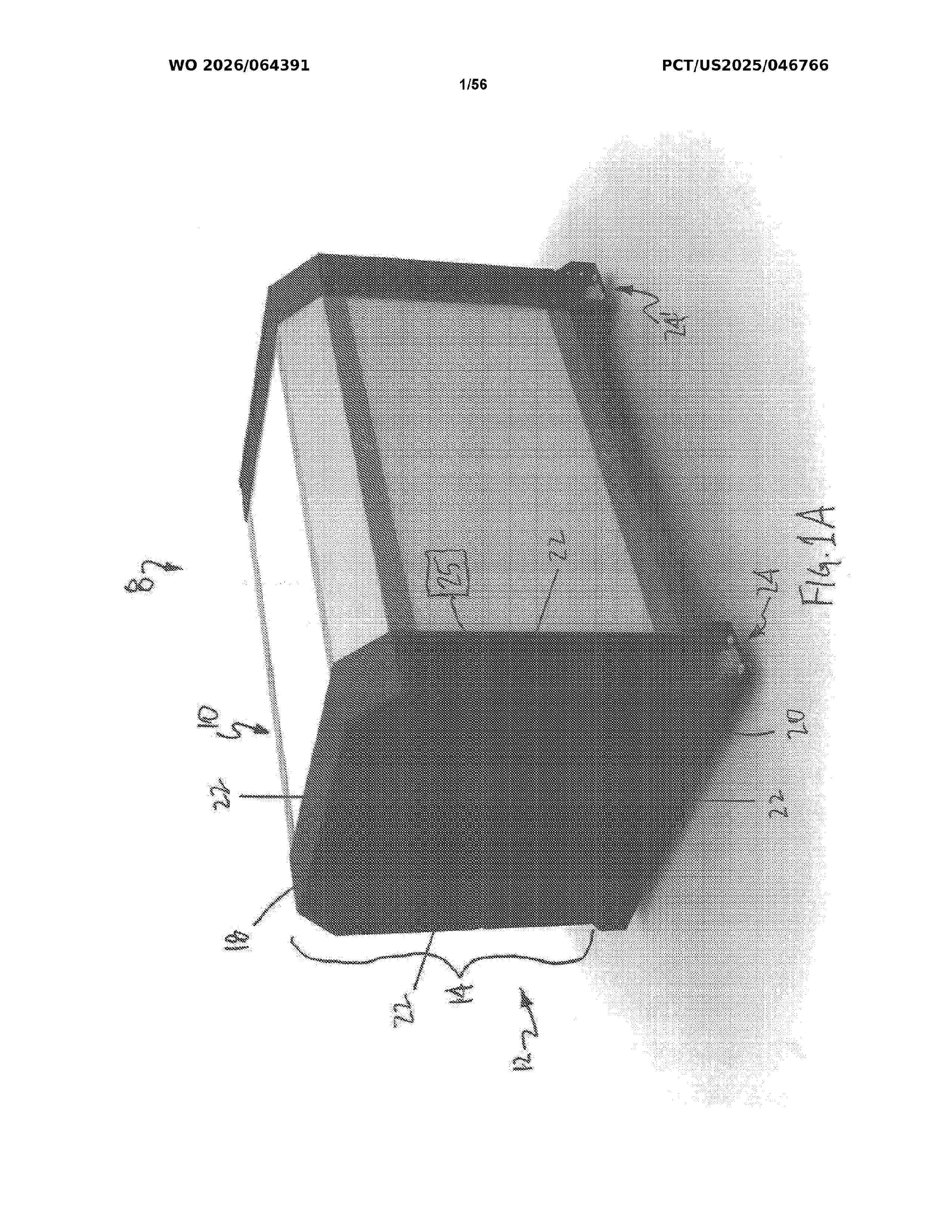 WO_2026064391_A2