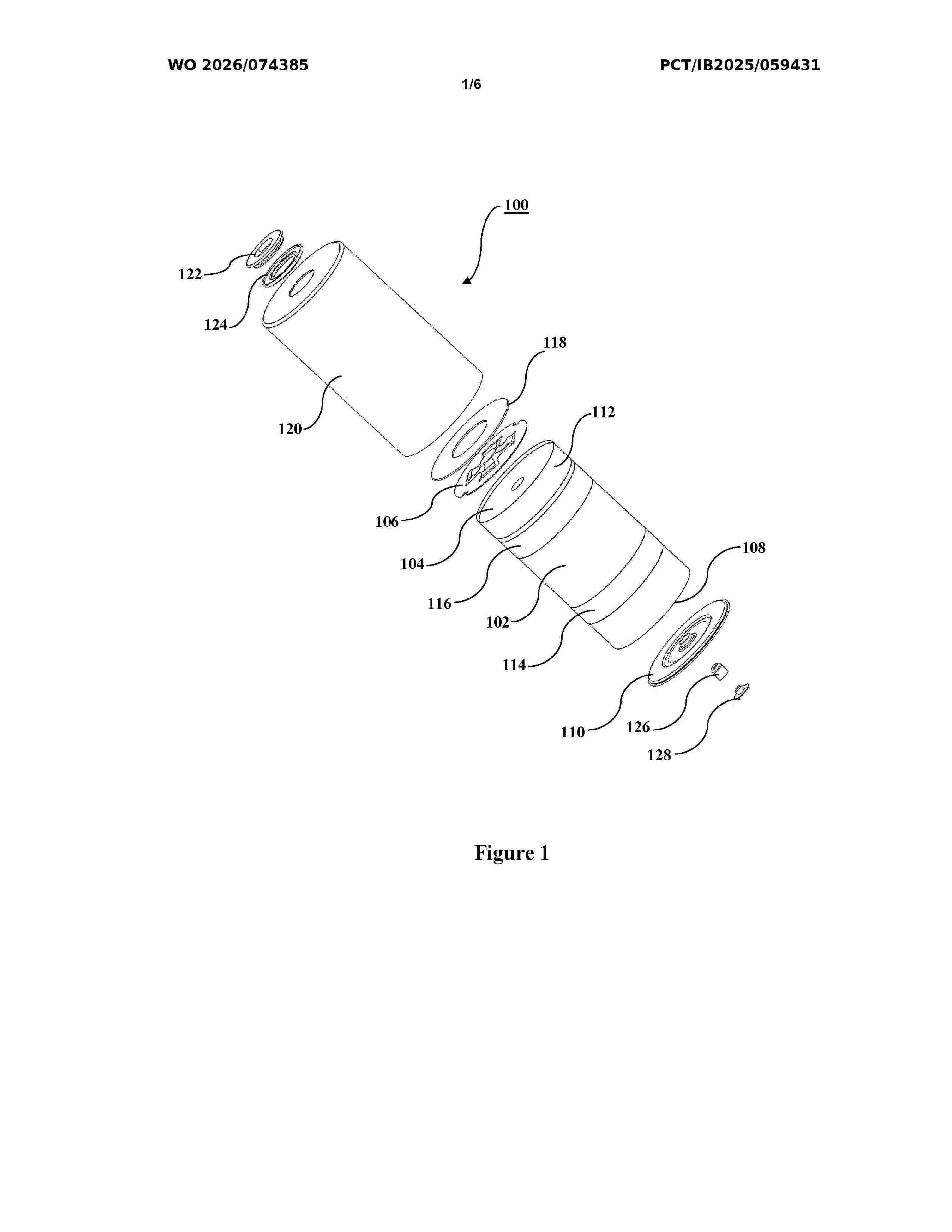 WO_2026074385_A1