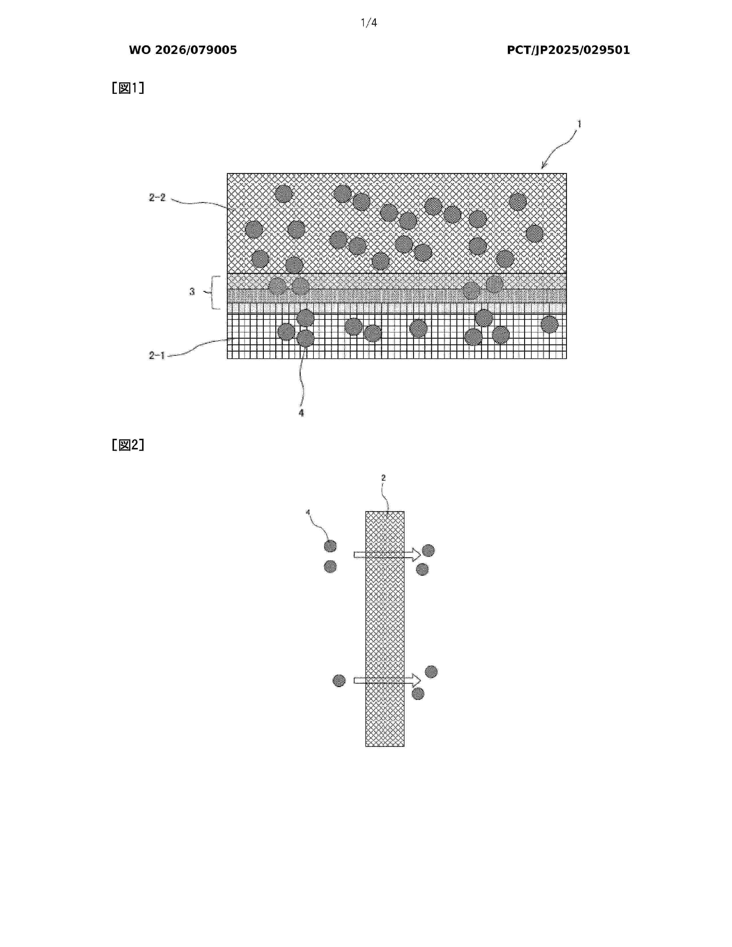 WO_2026079005_A1