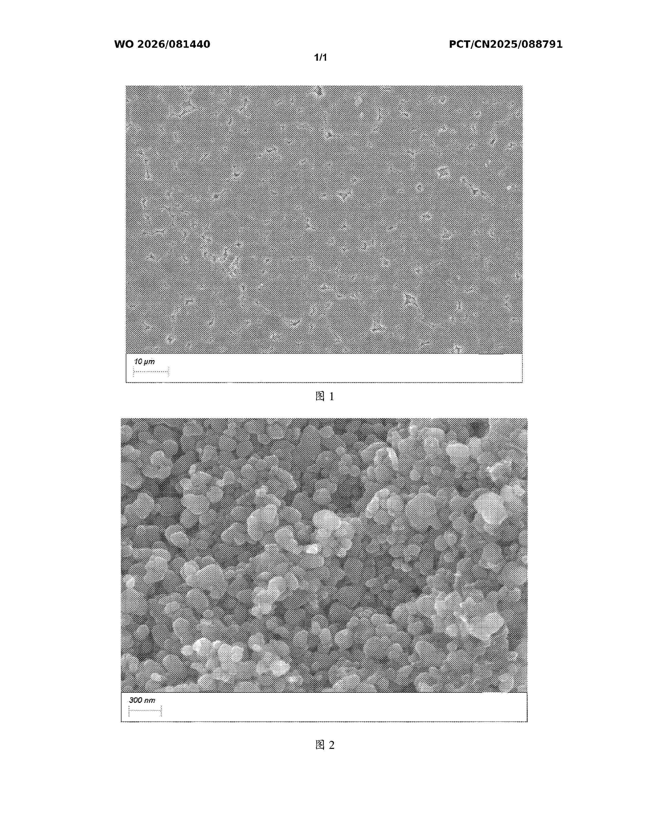 WO_2026081440_A1