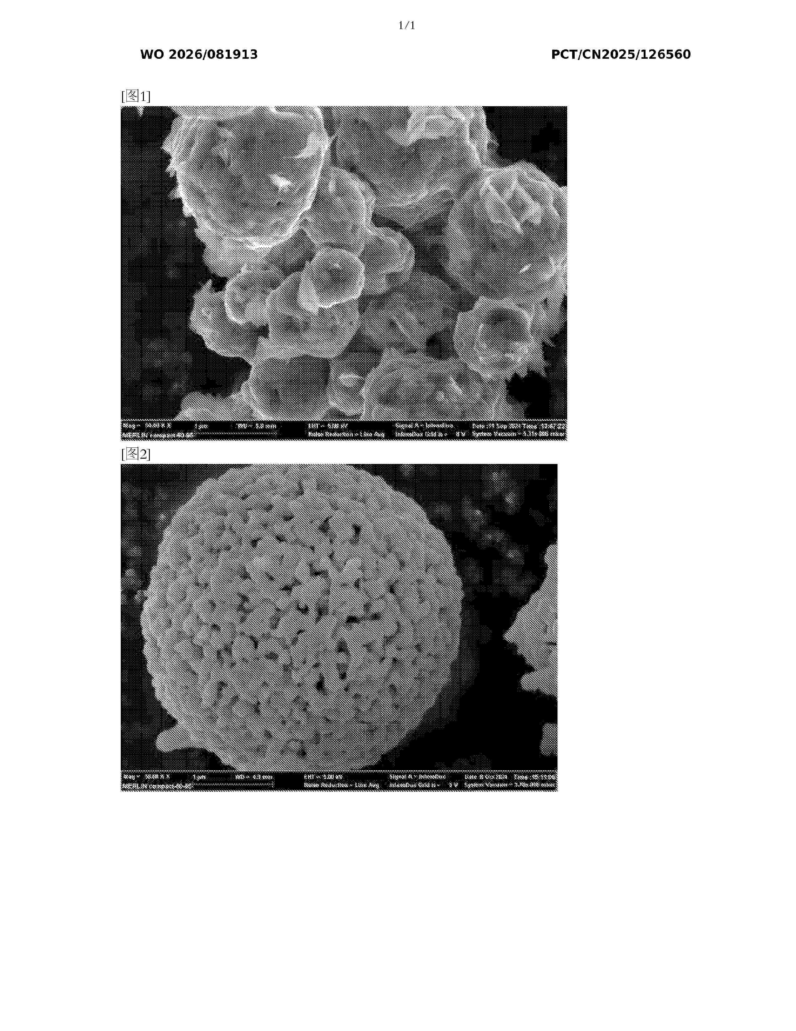 WO_2026081913_A1