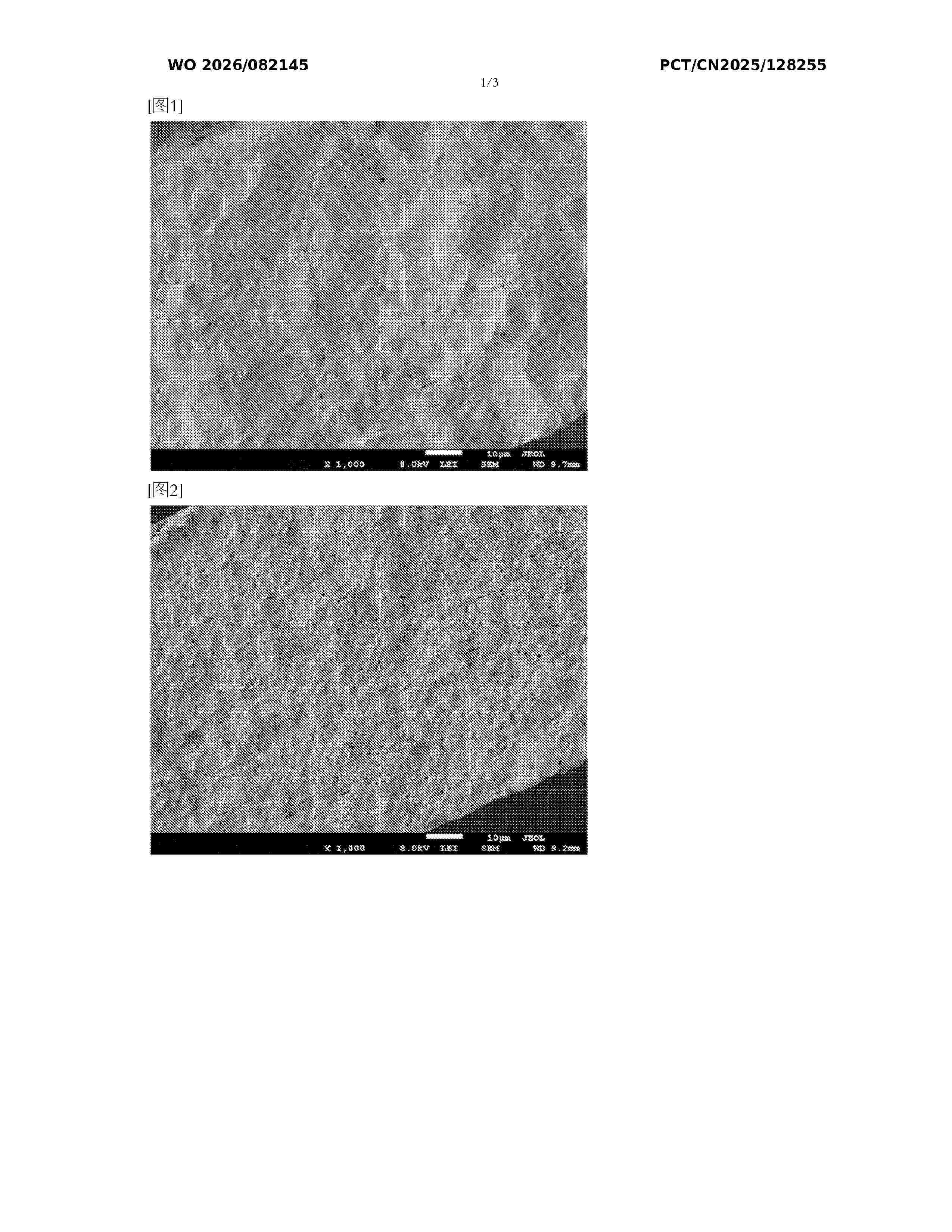 WO_2026082145_A1