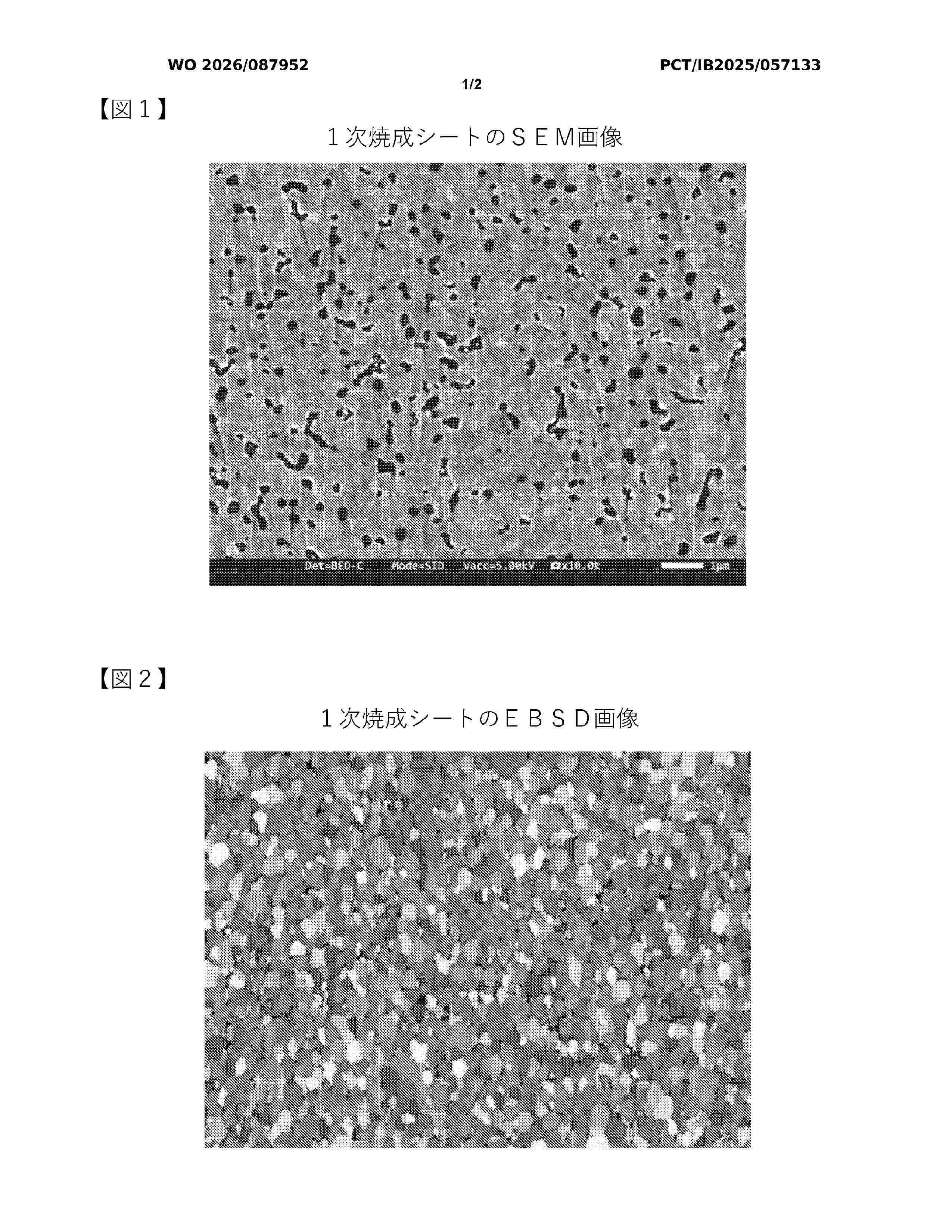 WO_2026087952_A1